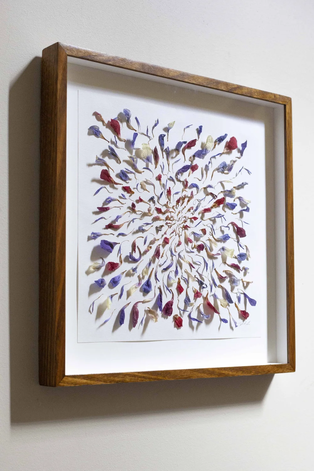 Anemone II framed angled copy.jpg