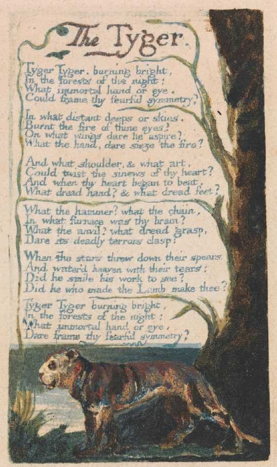 The Tyger, Plate from Songs of Innocence and Experience by William Blake, 1825