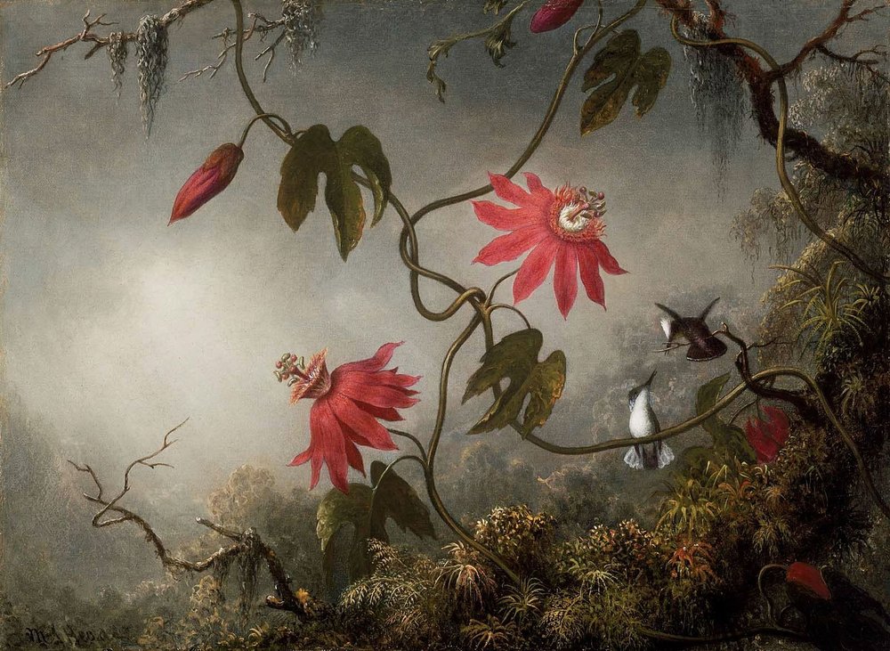 Passionflowers and Hummingbirds, c. 1870–83