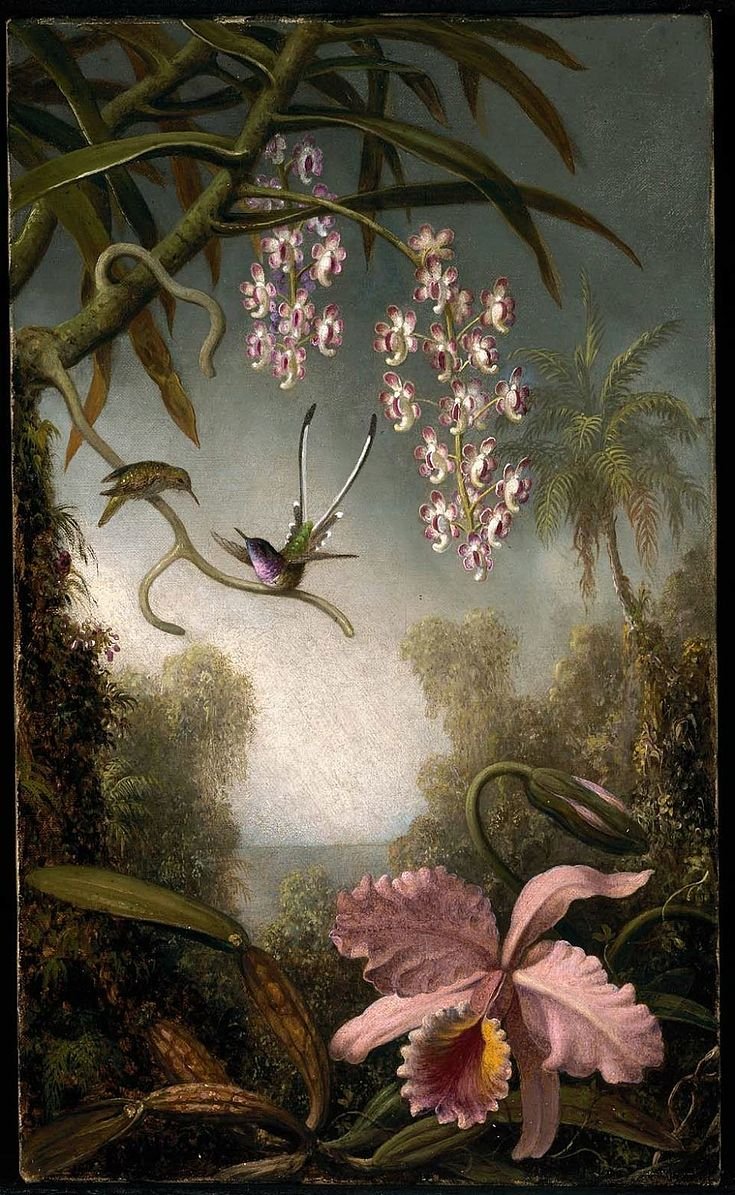Orchids and Spray Orchids with Hummingbird, c.1875-90
