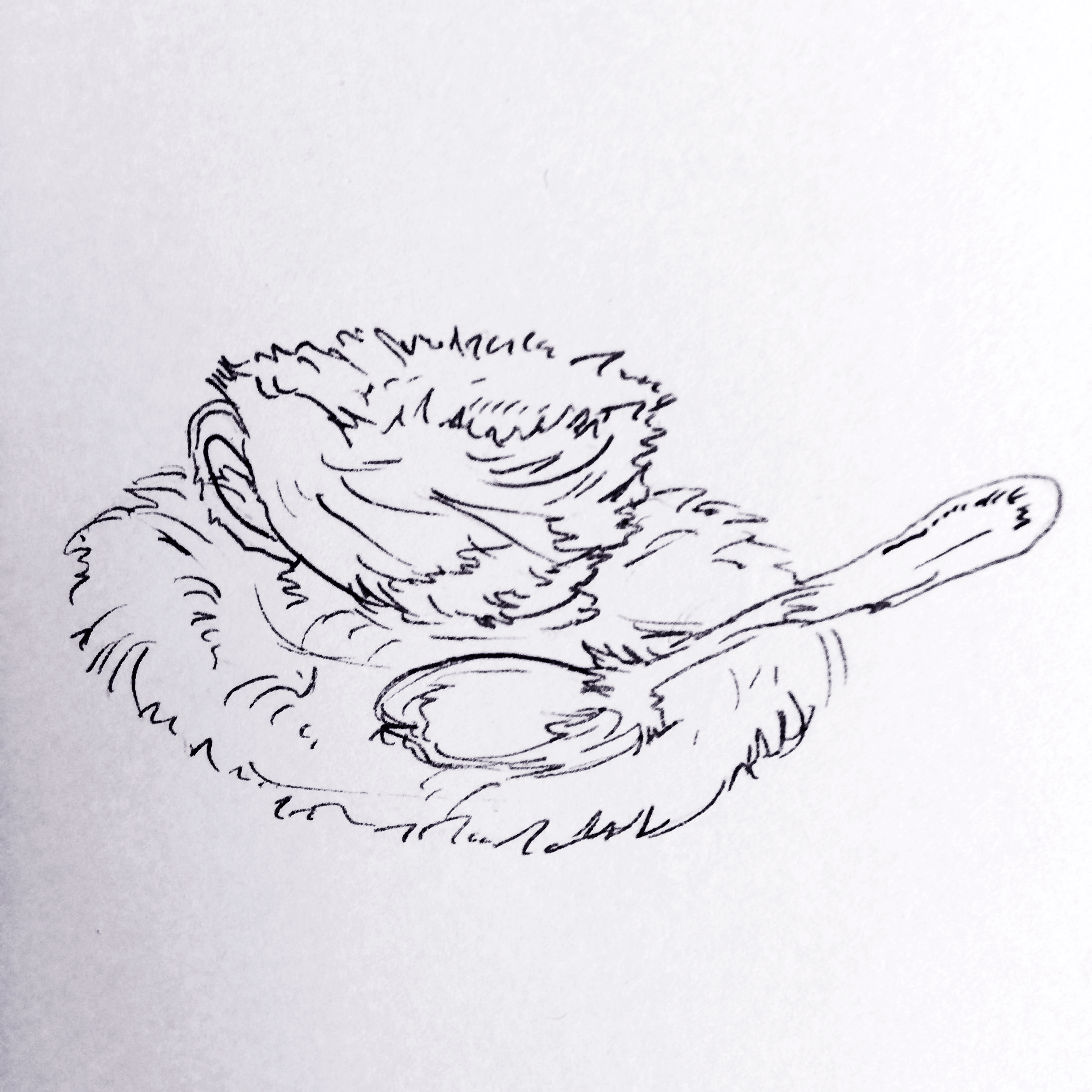 1sketchaday_27.png