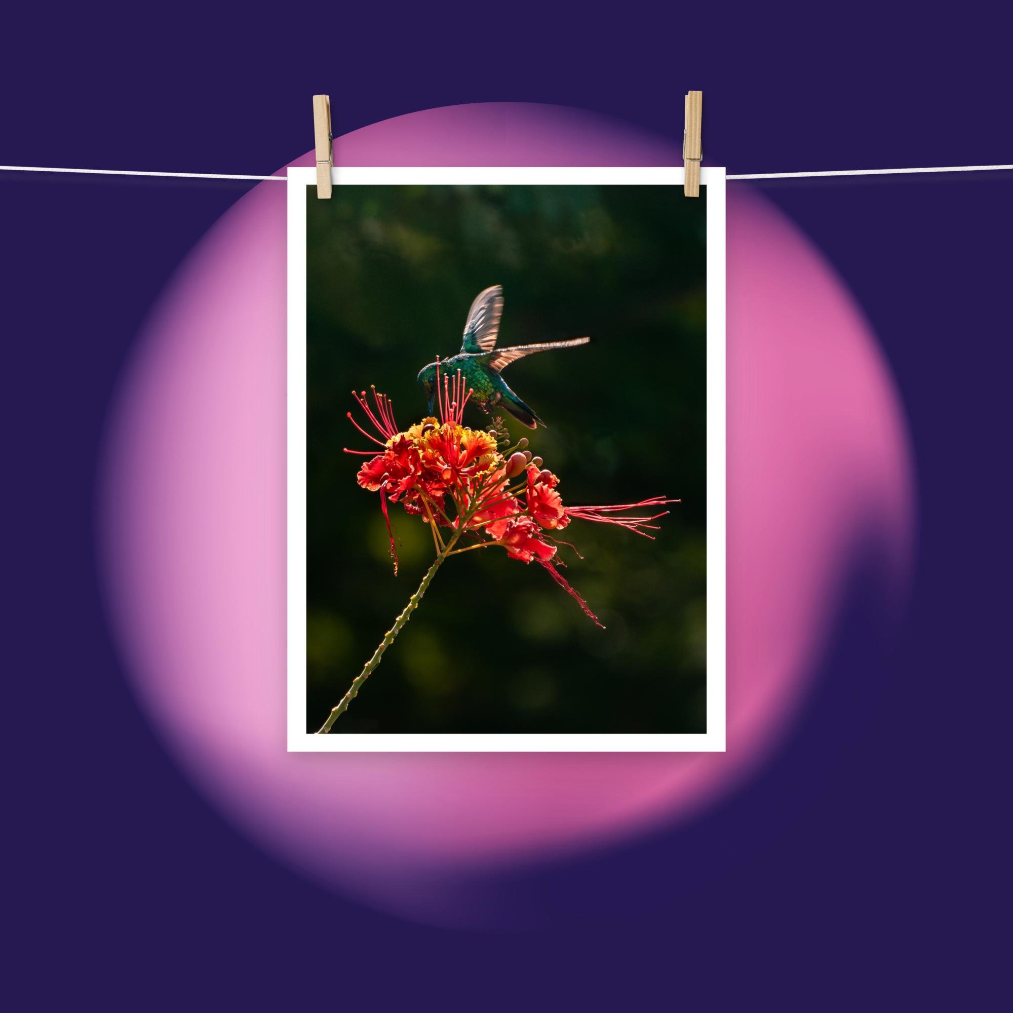 enhanced-matte-paper-poster-(in)-12x16-front-6791b3b650e7b.jpg