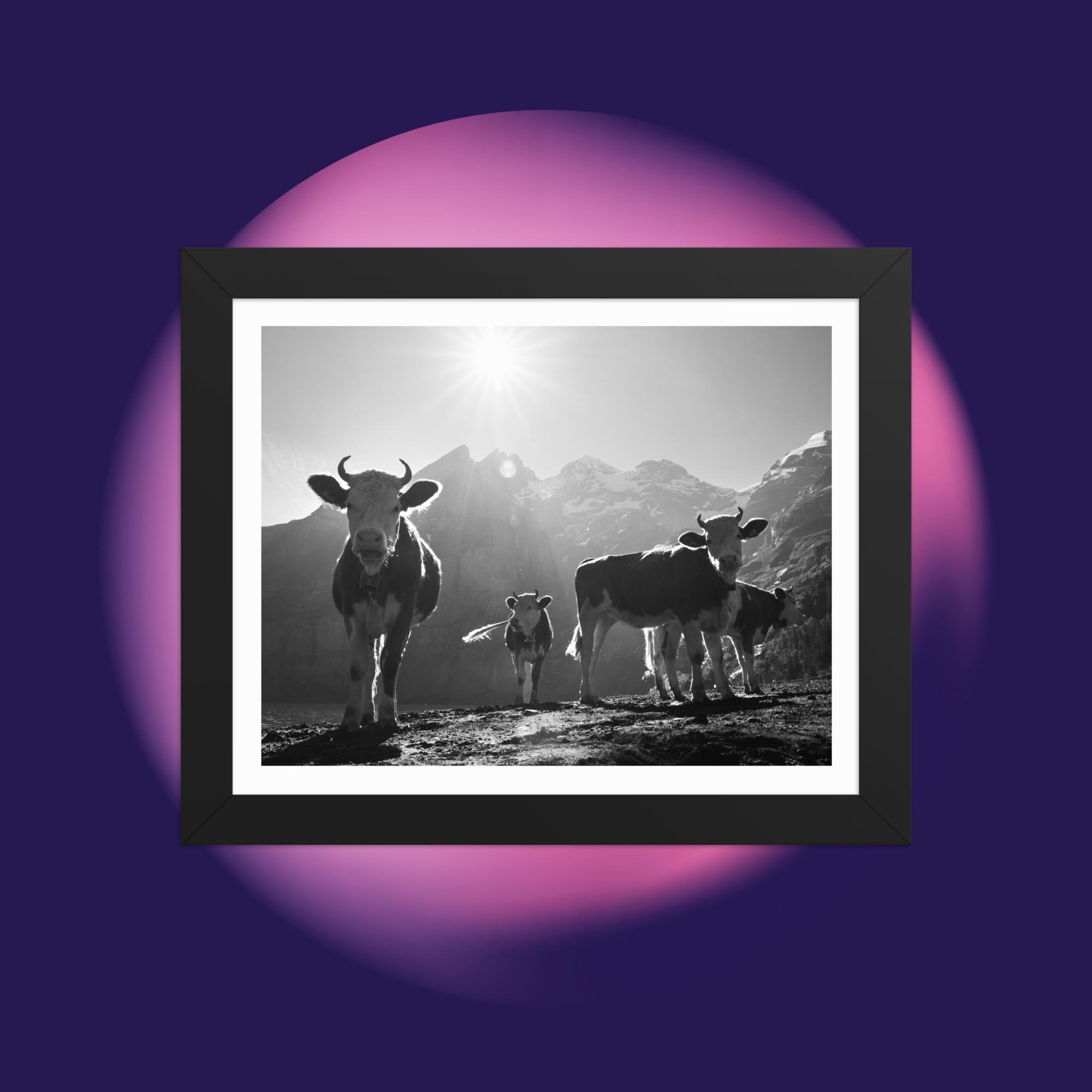 enhanced-matte-paper-framed-poster-(in)-black-8x10-front-67b6ab09e0117.jpg