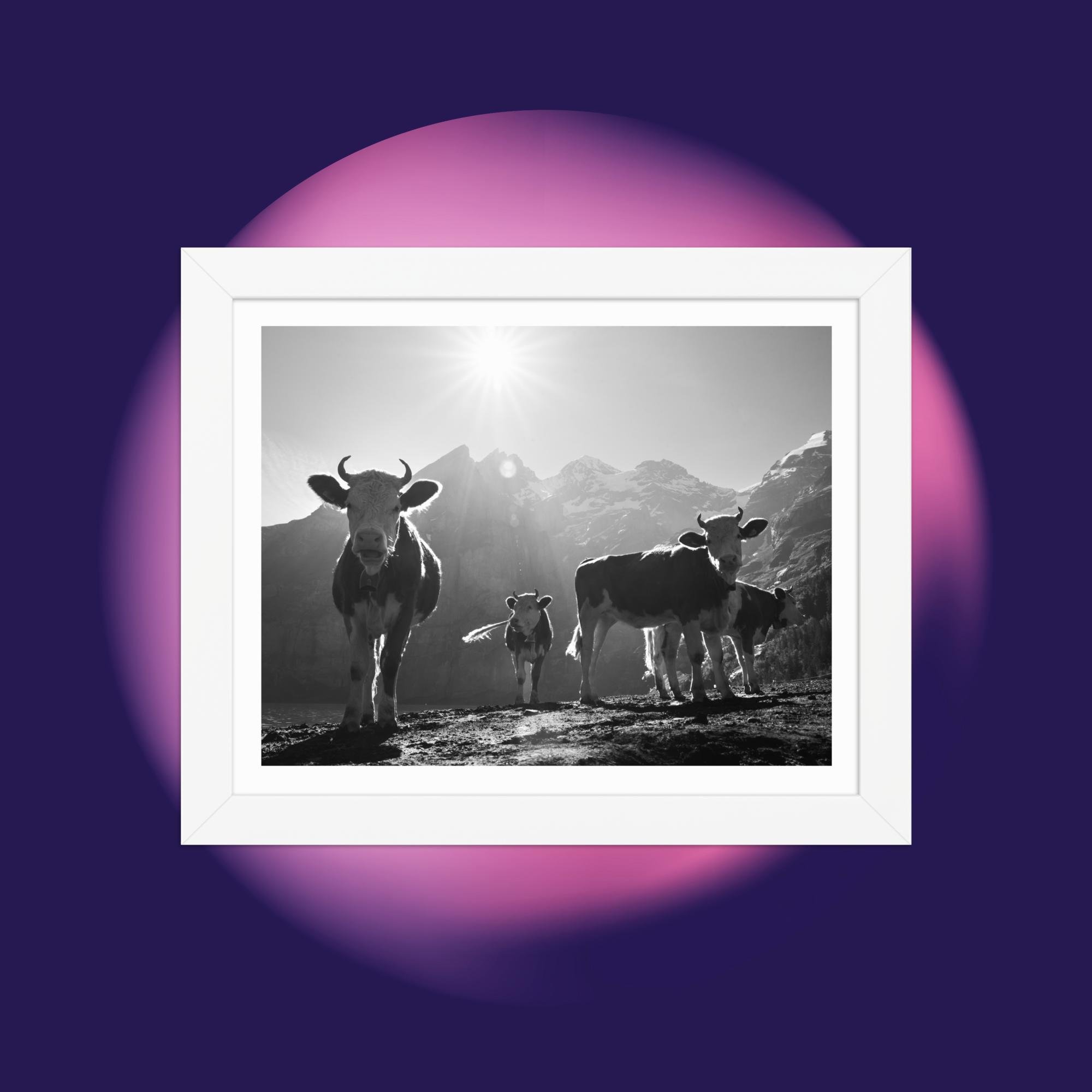 enhanced-matte-paper-framed-poster-(in)-white-8x10-front-67b6ab09e242b.jpg