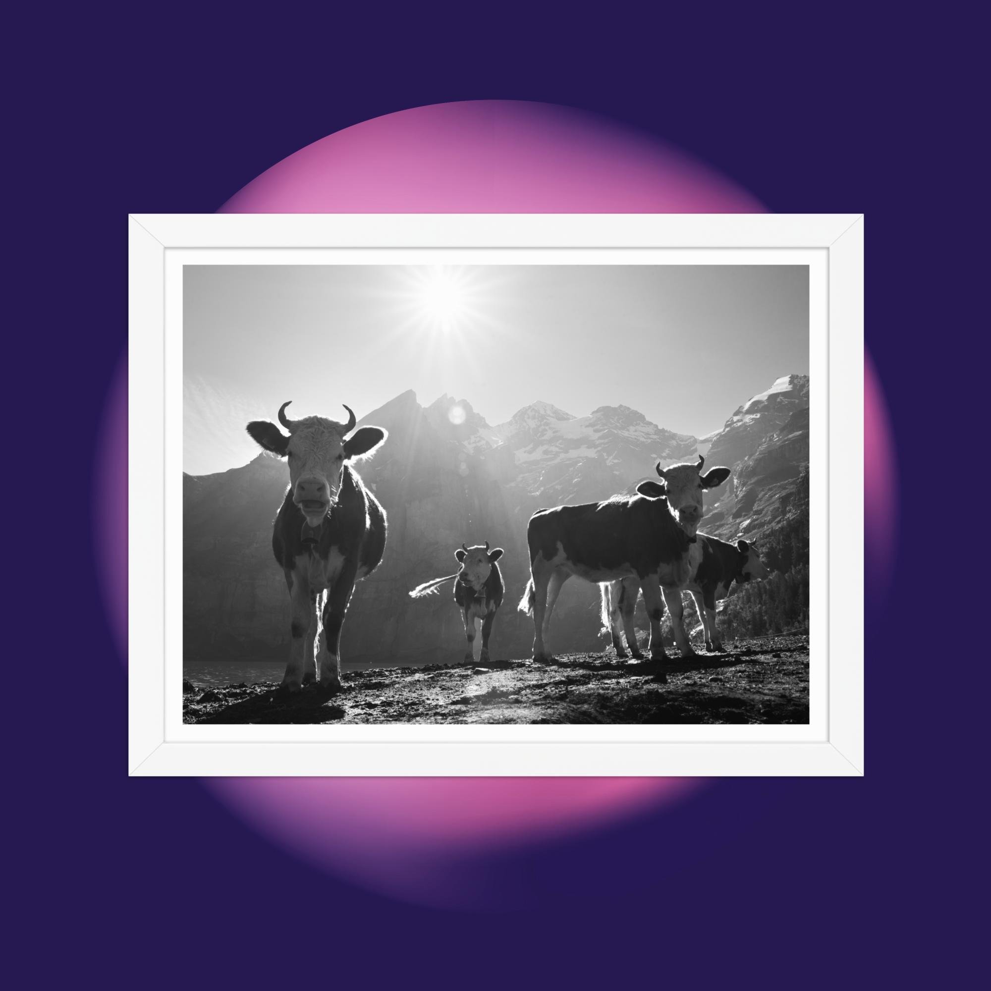 enhanced-matte-paper-framed-poster-(in)-white-12x16-front-67b6ab09e599e.jpg