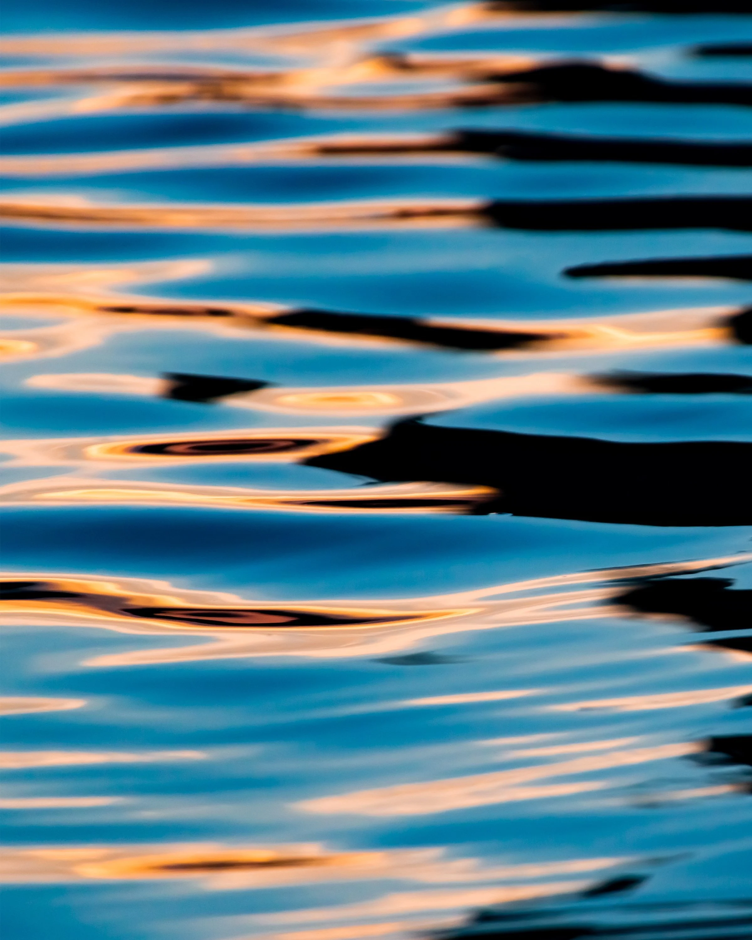 Jan 25th Newsletter -  Tackling Creative Blocks, and Photo Stories!