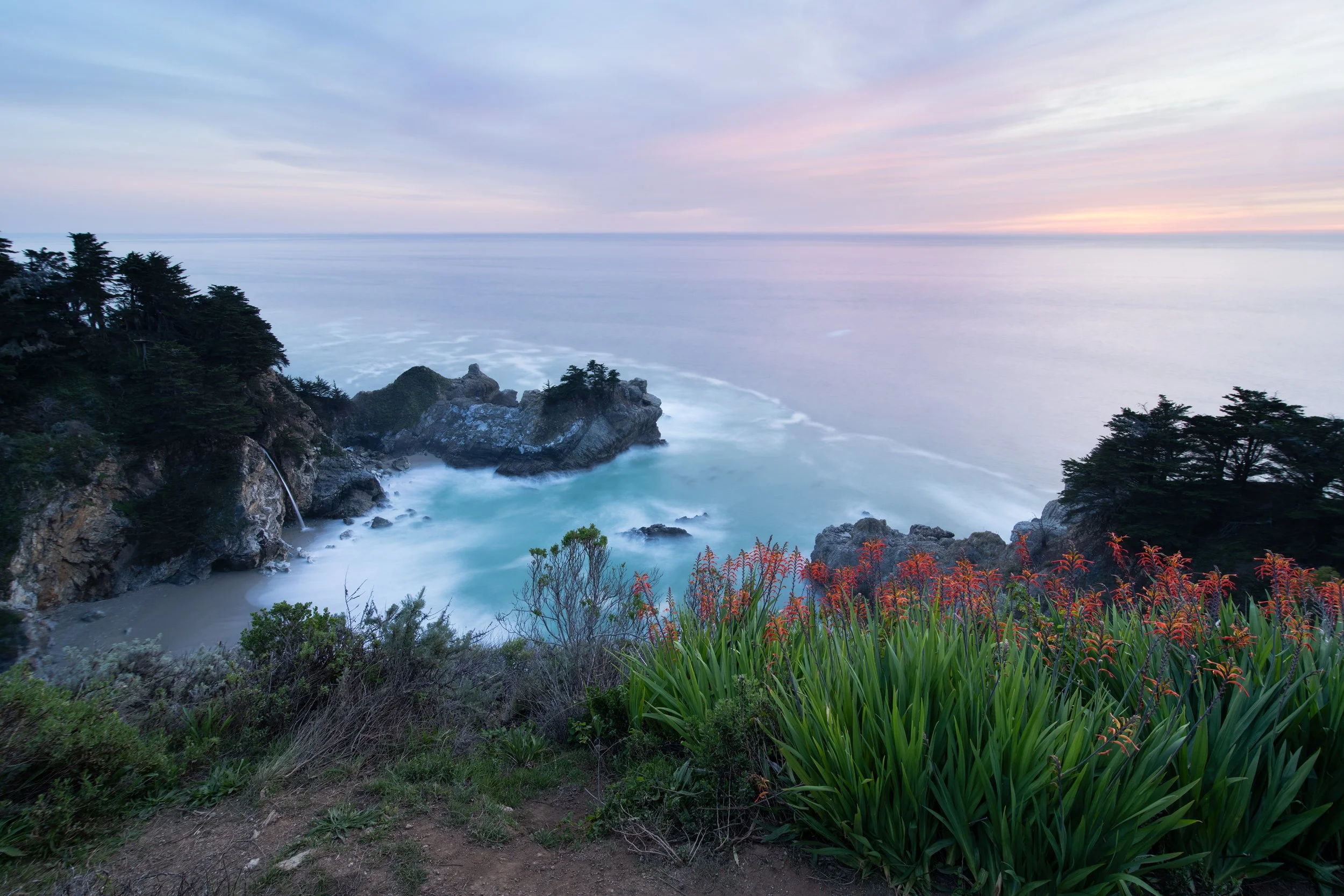 Feb 10th Newsletter - Big Sur; Highway 1 is Open!