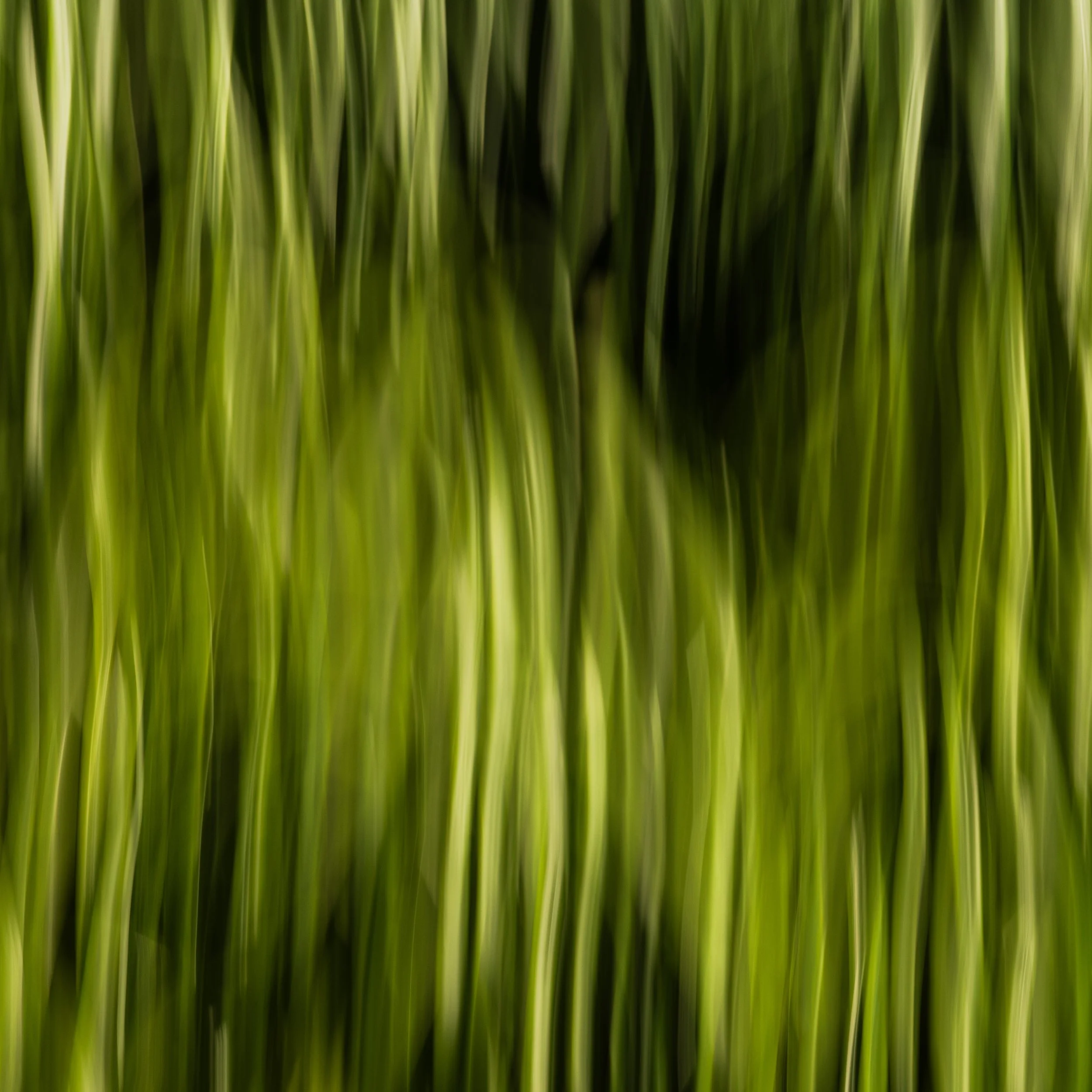 DSC_9779.JPG