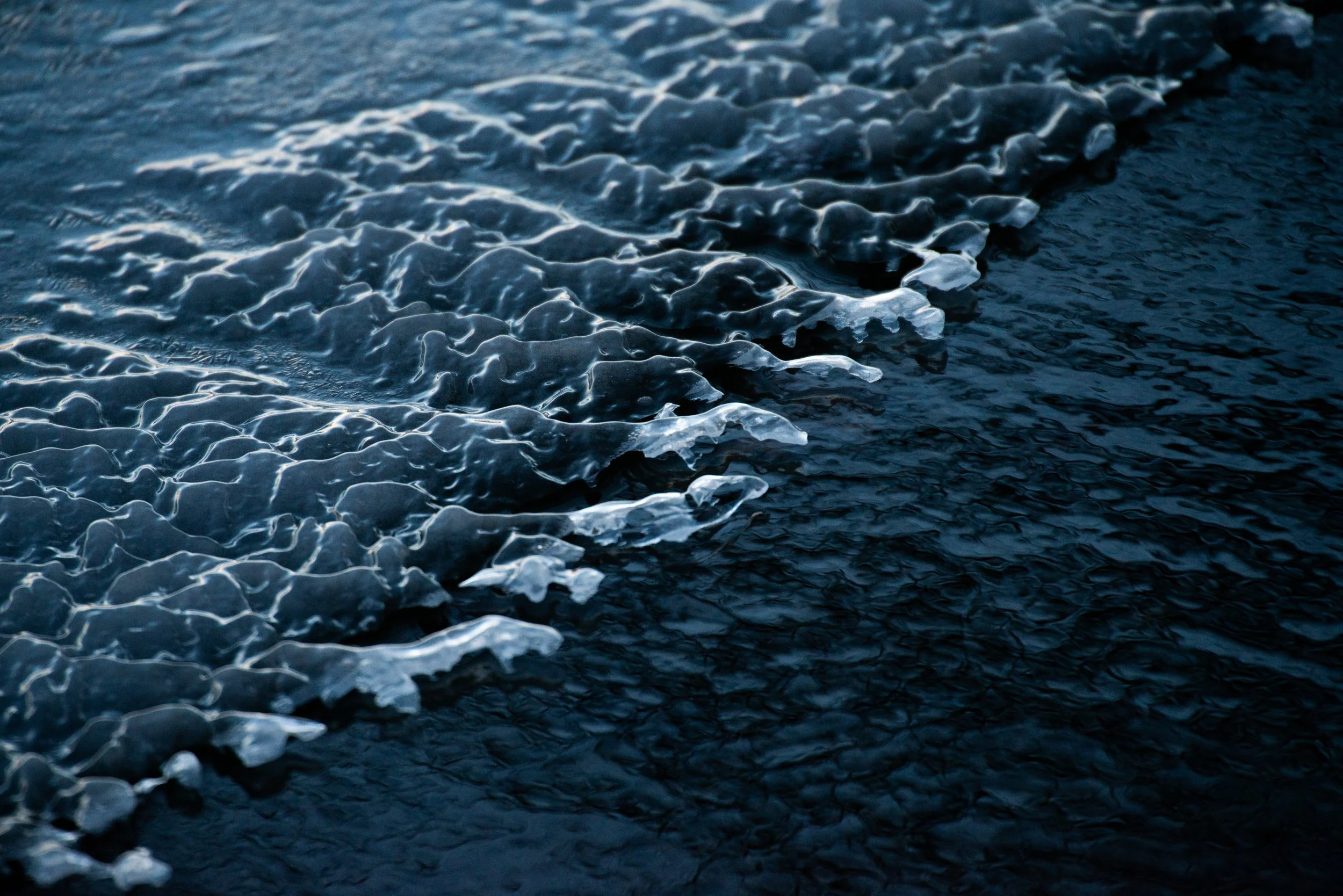 Icy Tendrils_ 20x30in_Metal.jpg