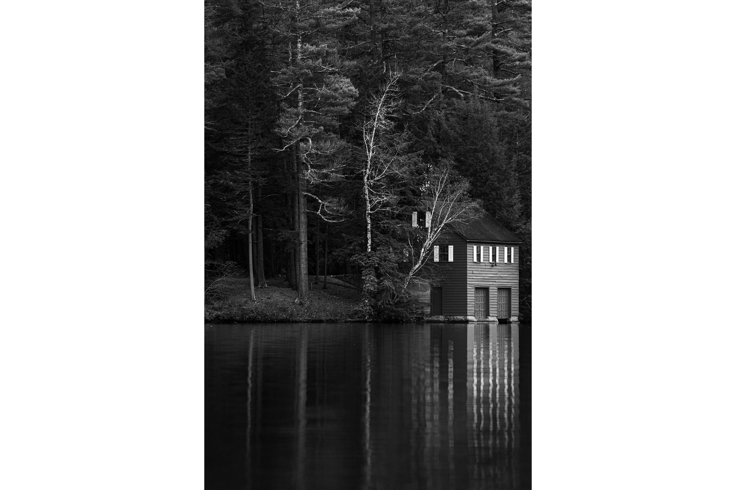 Shadows Rest (Limited Edition)