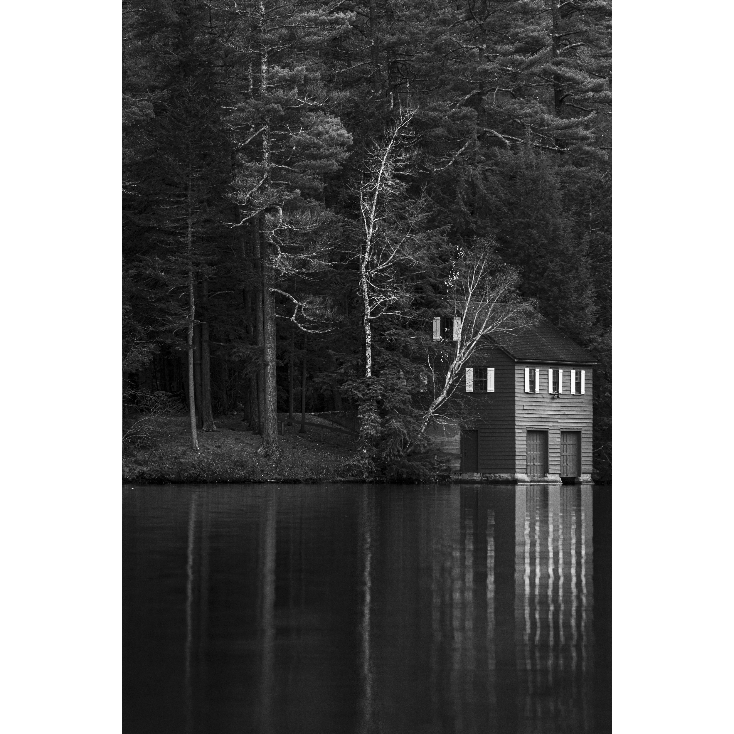 Shadows Rest (Limited Edition)