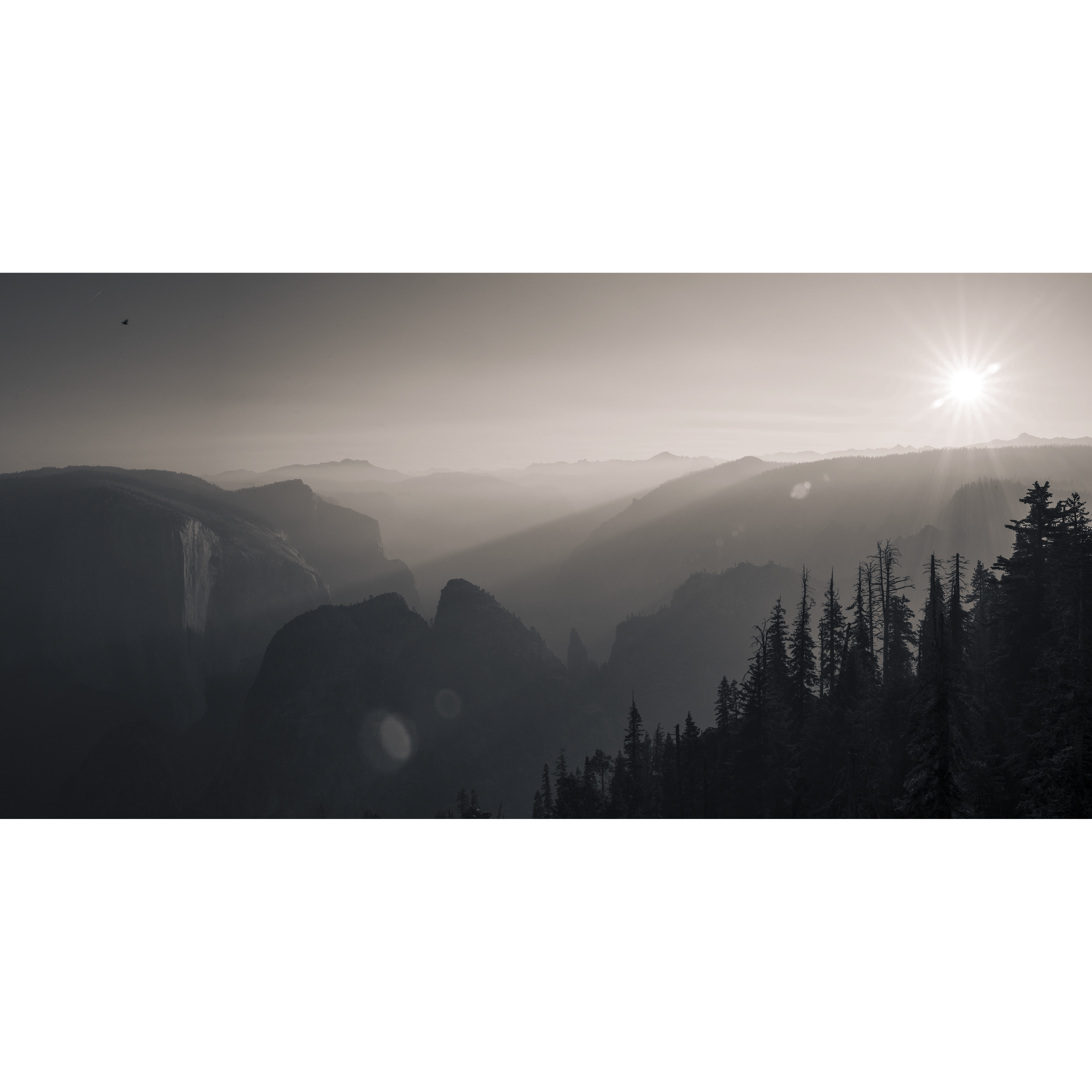 Remanoir (Limited Edition)