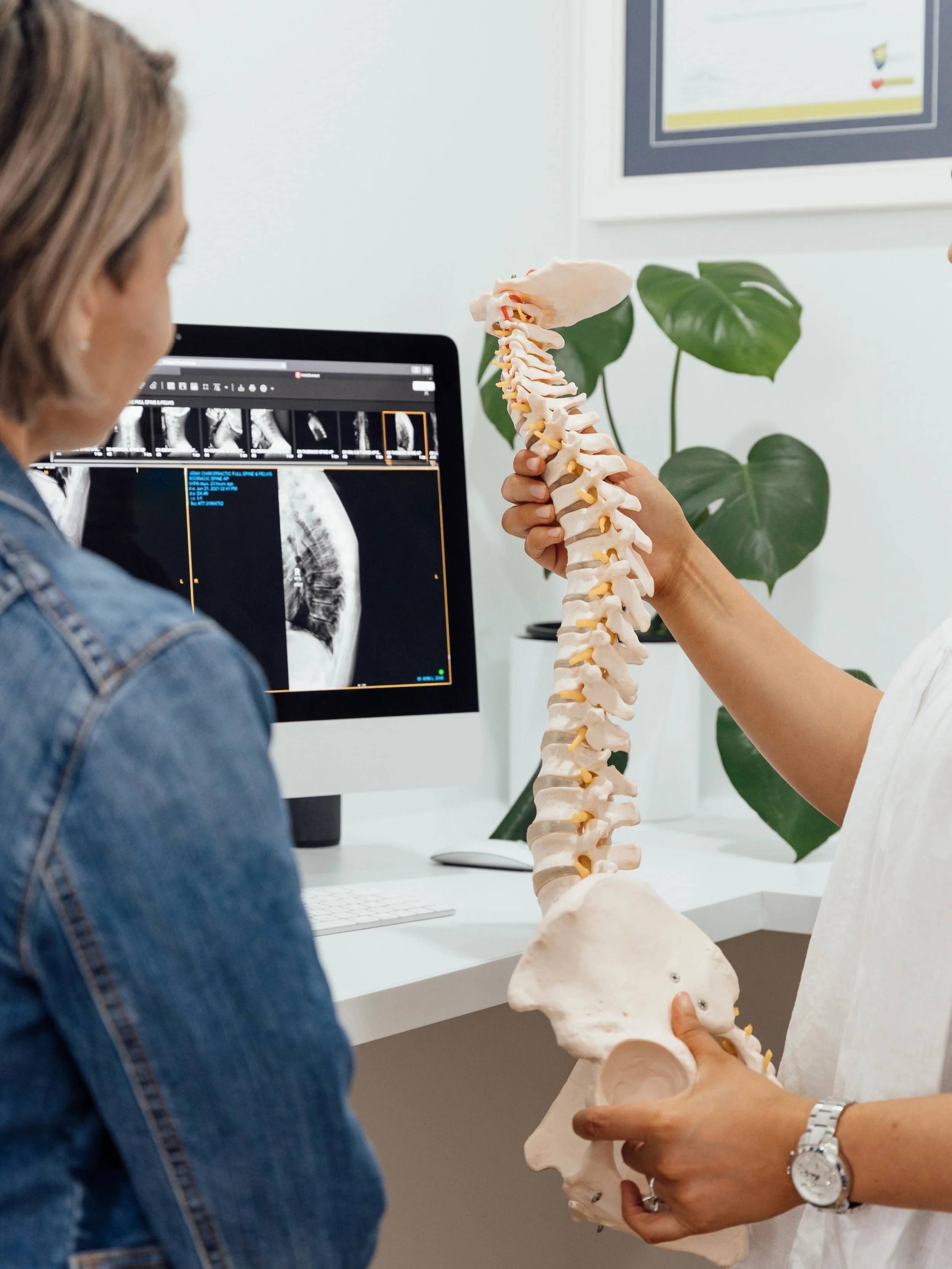 Your spine is stronger than you think. 💪

Spines are incredibly durable, resilient, and adaptable. They&rsquo;re designed to move, bend, twist, and handle load.

That&rsquo;s why movement is essential for a healthy spine. Our spines respond positive