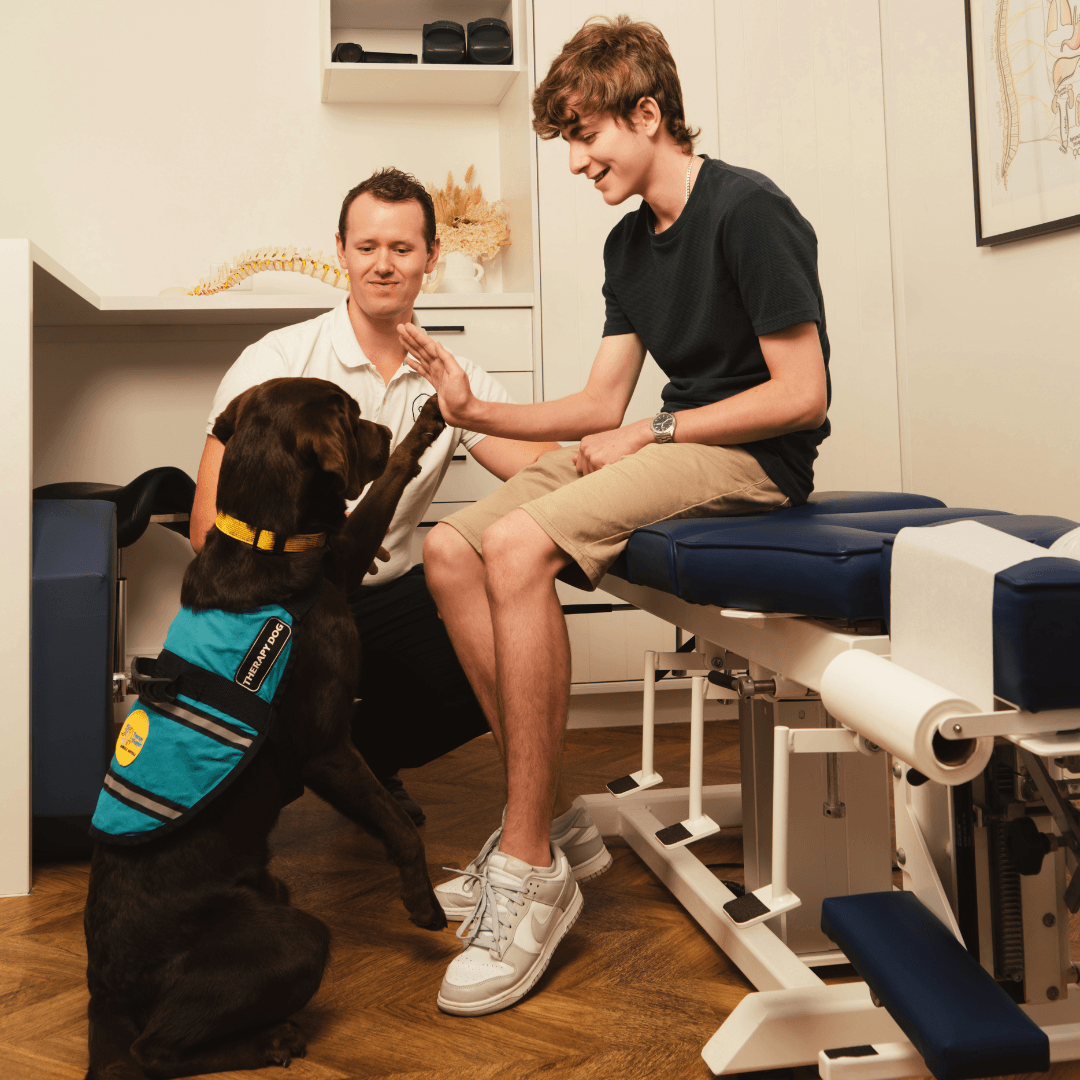 Glow Health Co - Ascot Bailey the Therapy Dog.png