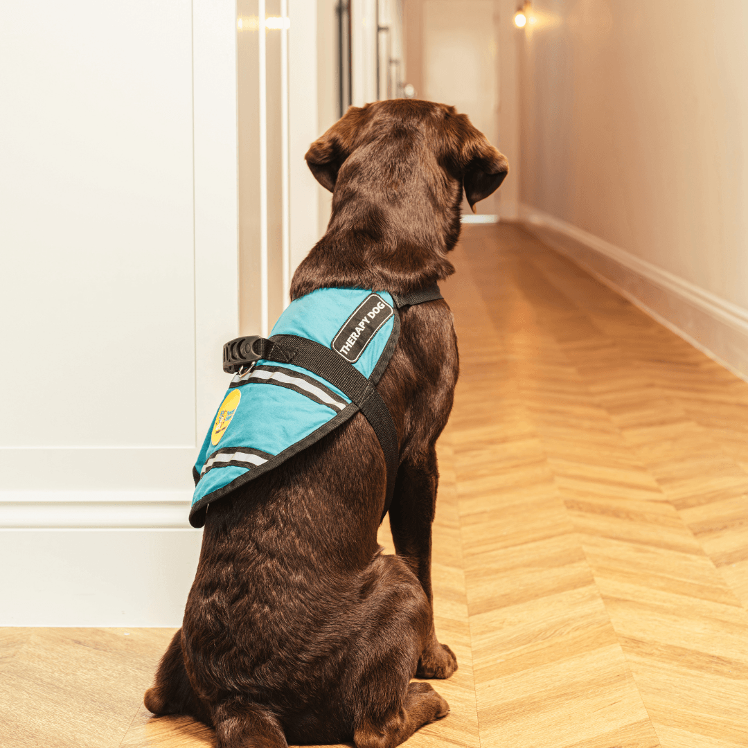 Glow Health Co - Ascot Bailey.png