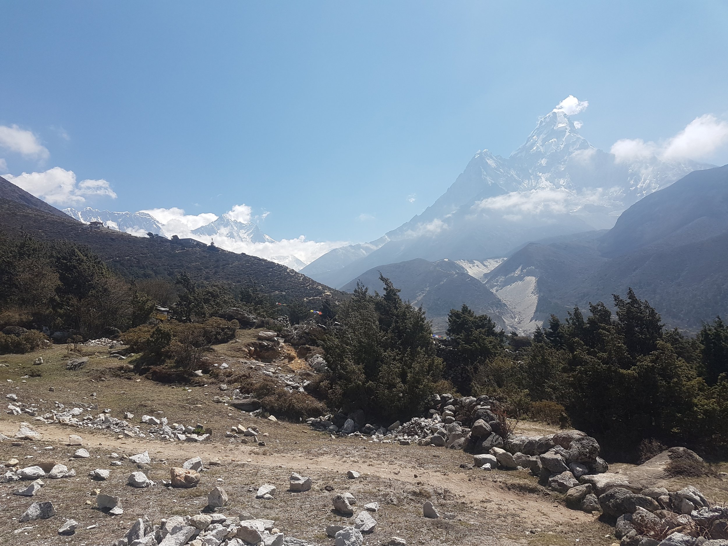 20190522_094159.jpg