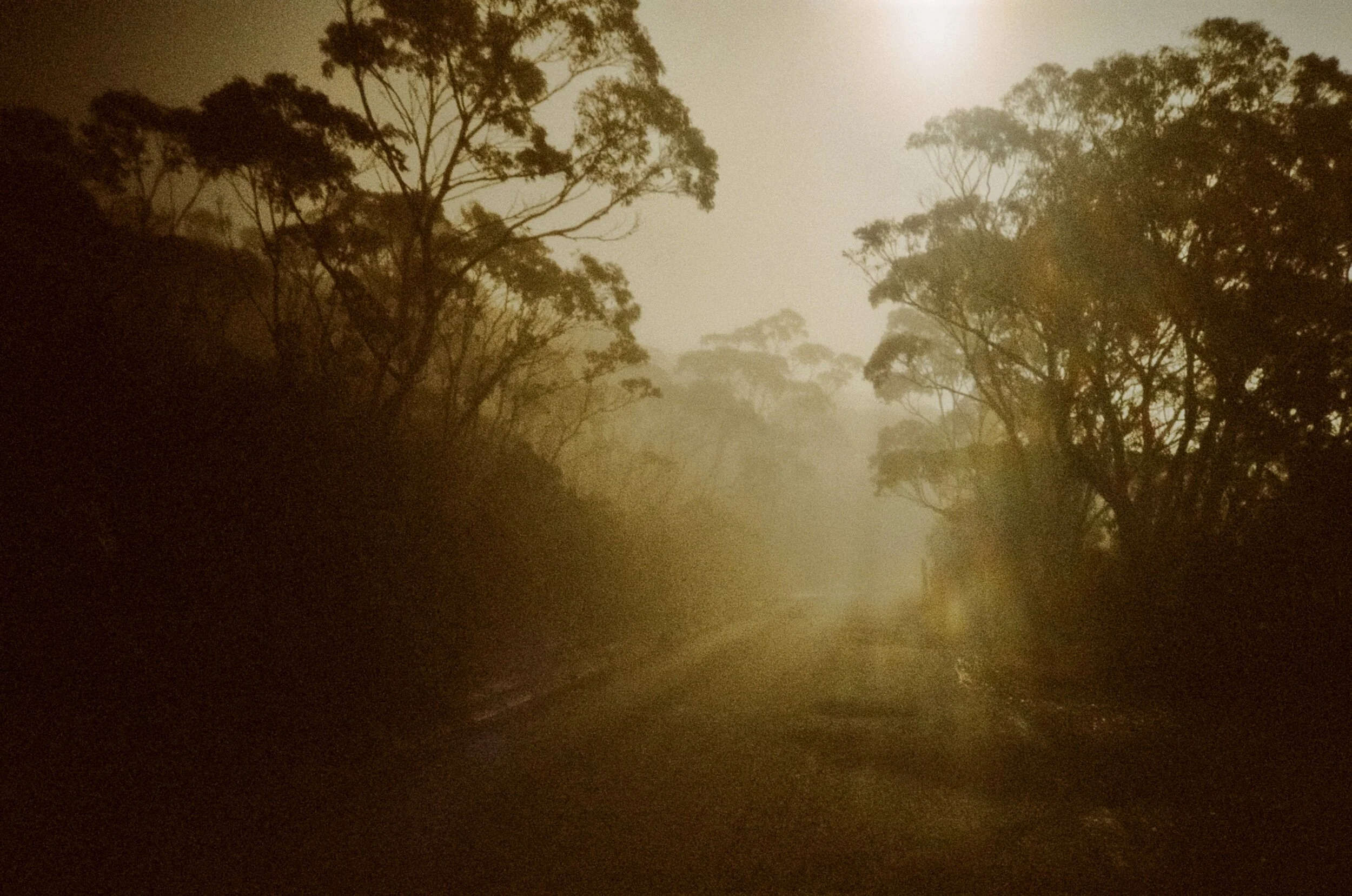 000007160006_7A 3.jpg