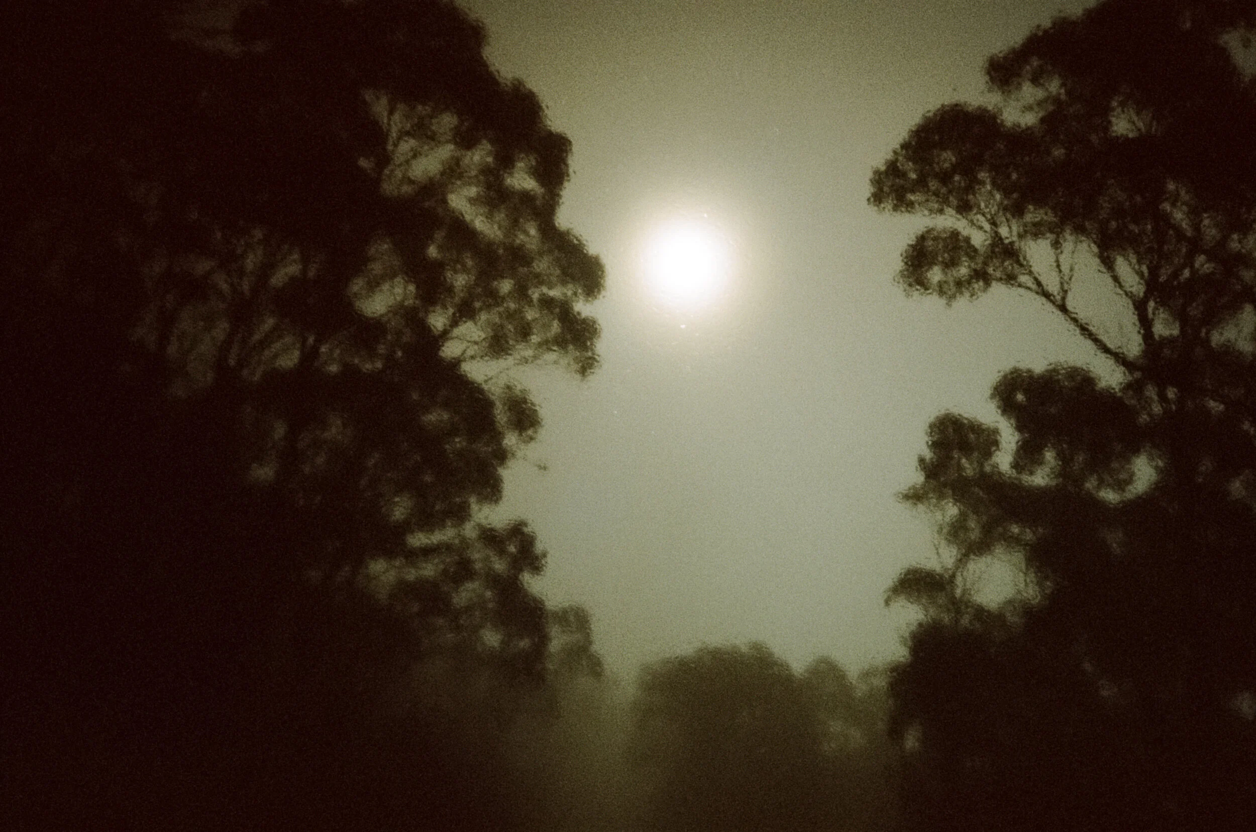 000007160005_6A 2.JPG