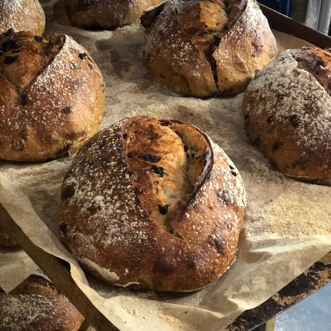 A fruit loaf like no other, filled with figs, raisins, currants and sultanas, perfect toasted with a bit of butter ❤ 

#luxbakery, #sourdough #bakery #sydney #canberra #centralcoastnew #wollongong #sydneyeats #sydneycafes #foodporn #artisan #artisanb