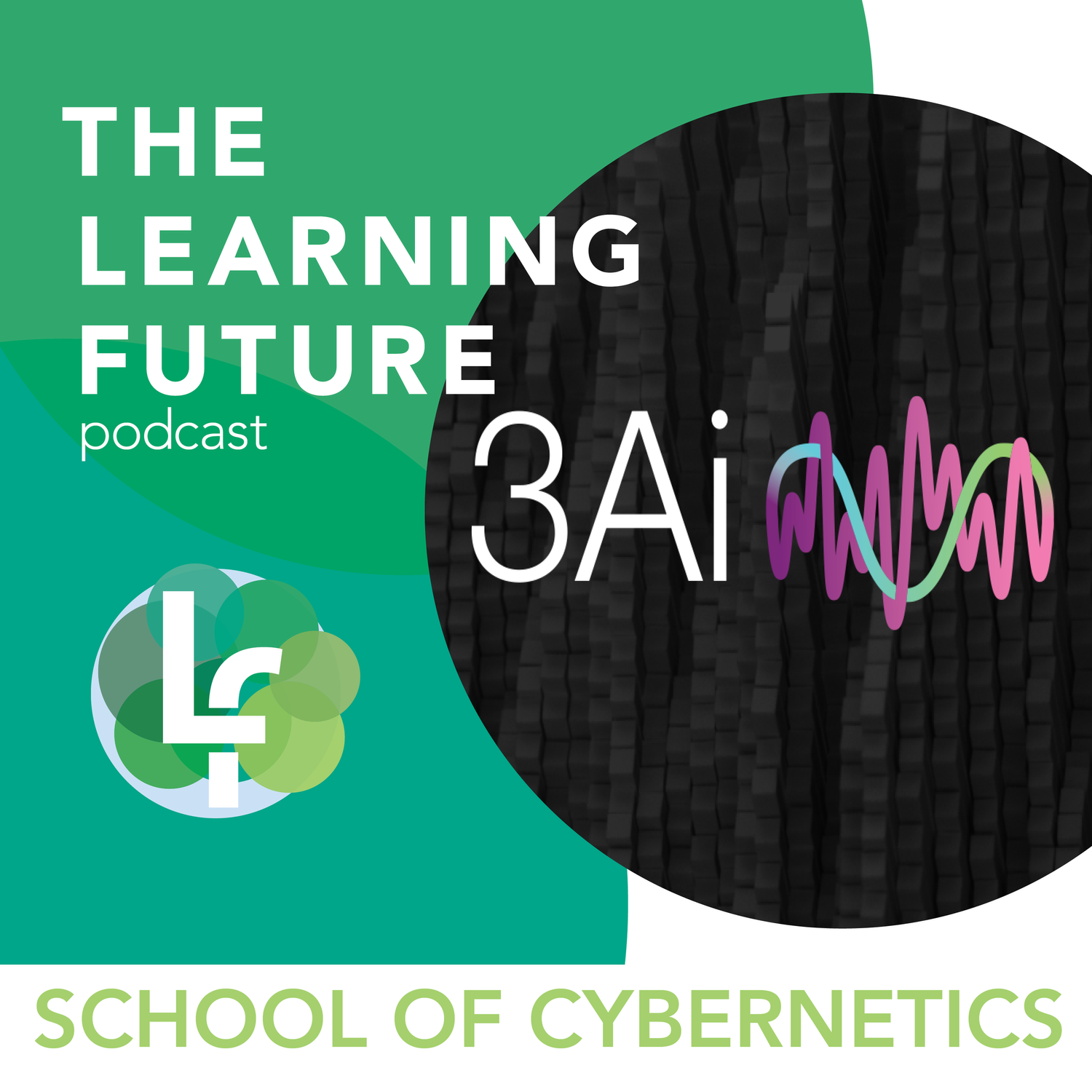 Season 3: Episode 4 - The School of Cybernetics with the ANU’s Education Experiences Team episode artwork