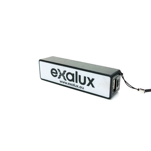 RX 100 Receiver Battery ($10)