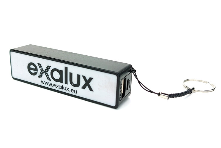 RX 100 Reciever Battery.jpg