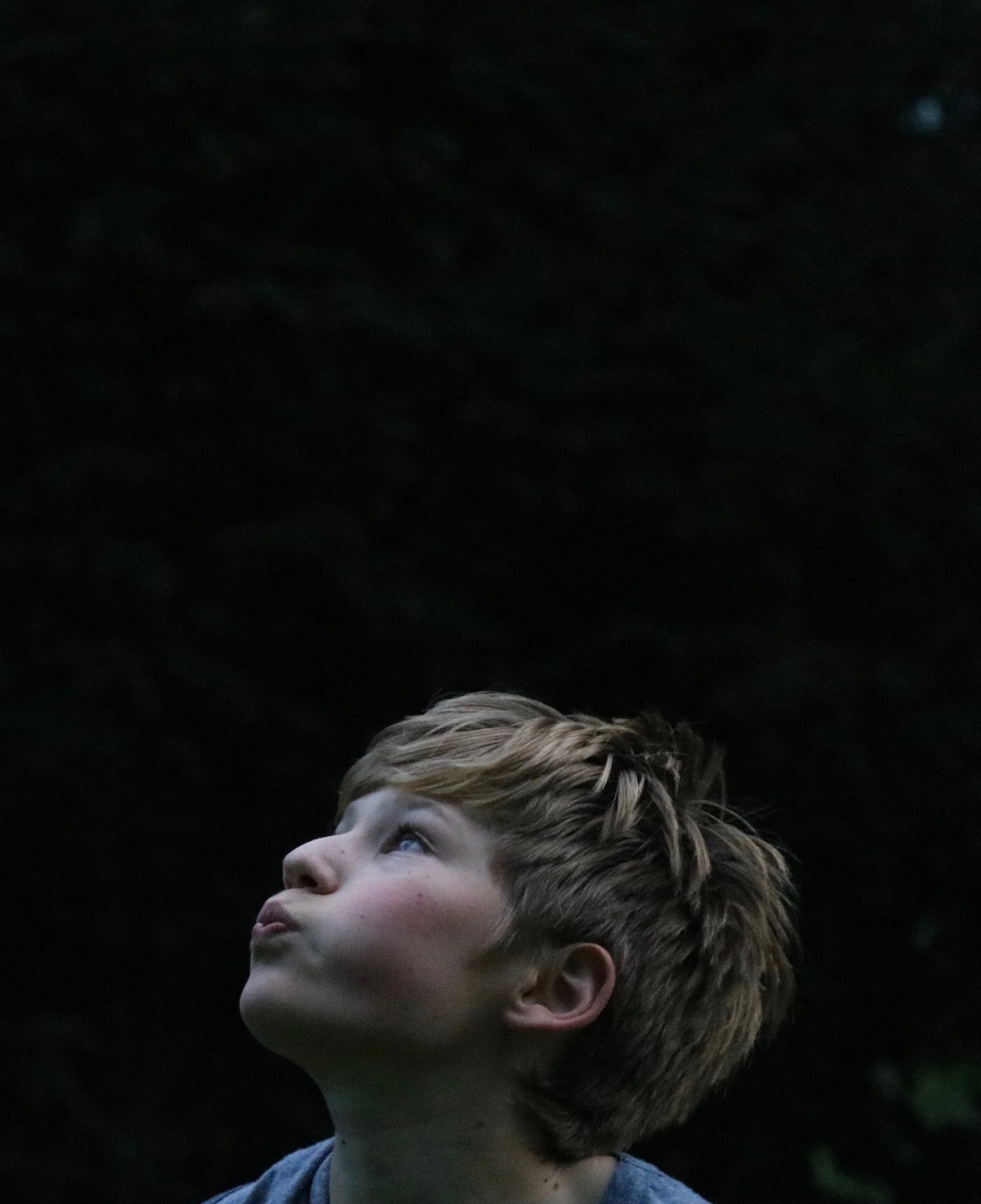 attentively watching.jpeg