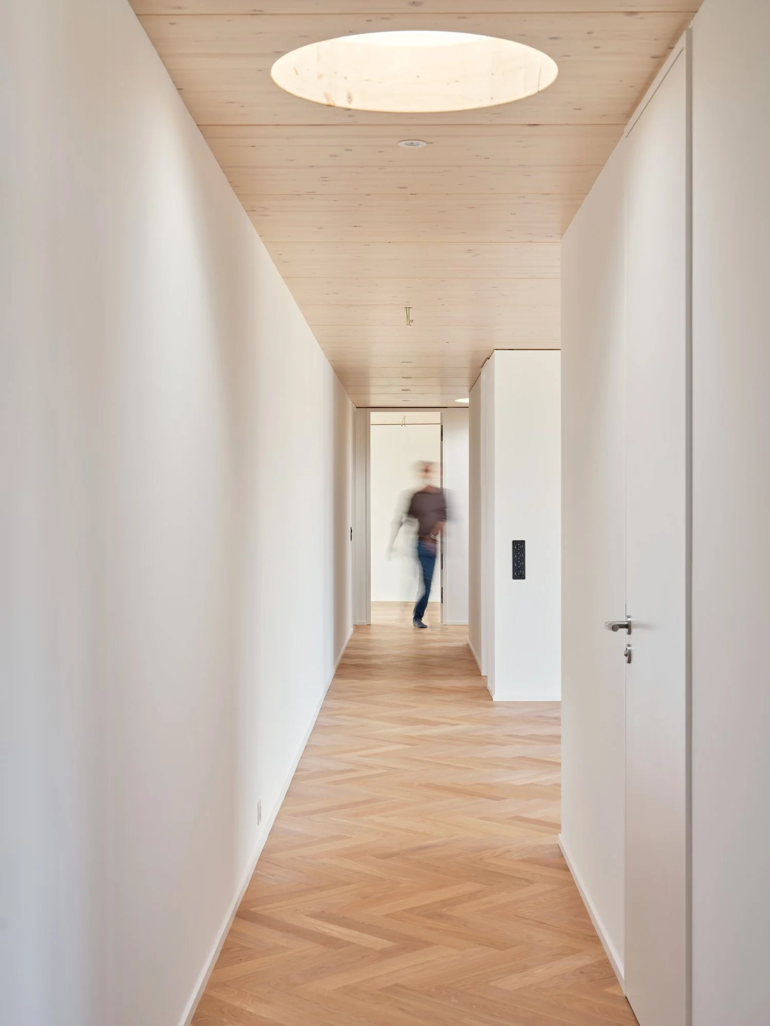 Sarc Spühler Biot Weinbergstrasse Zürich 8.jpg