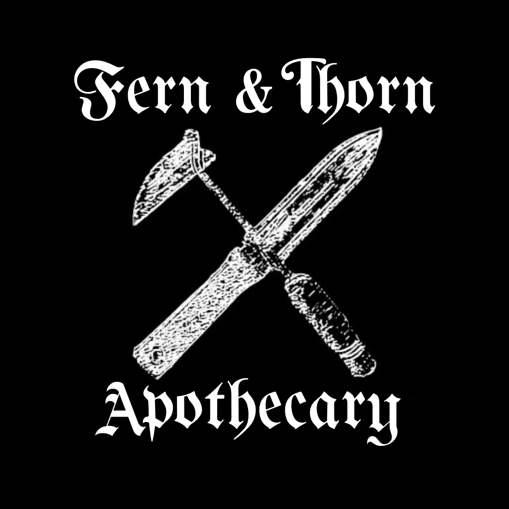 Fern &amp; Thorn