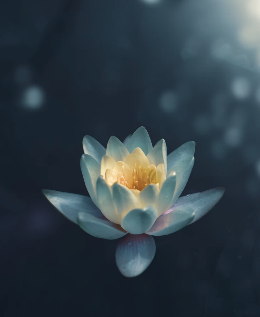 Screen Shot 2020-09-08 at 7.48.38 pm.png