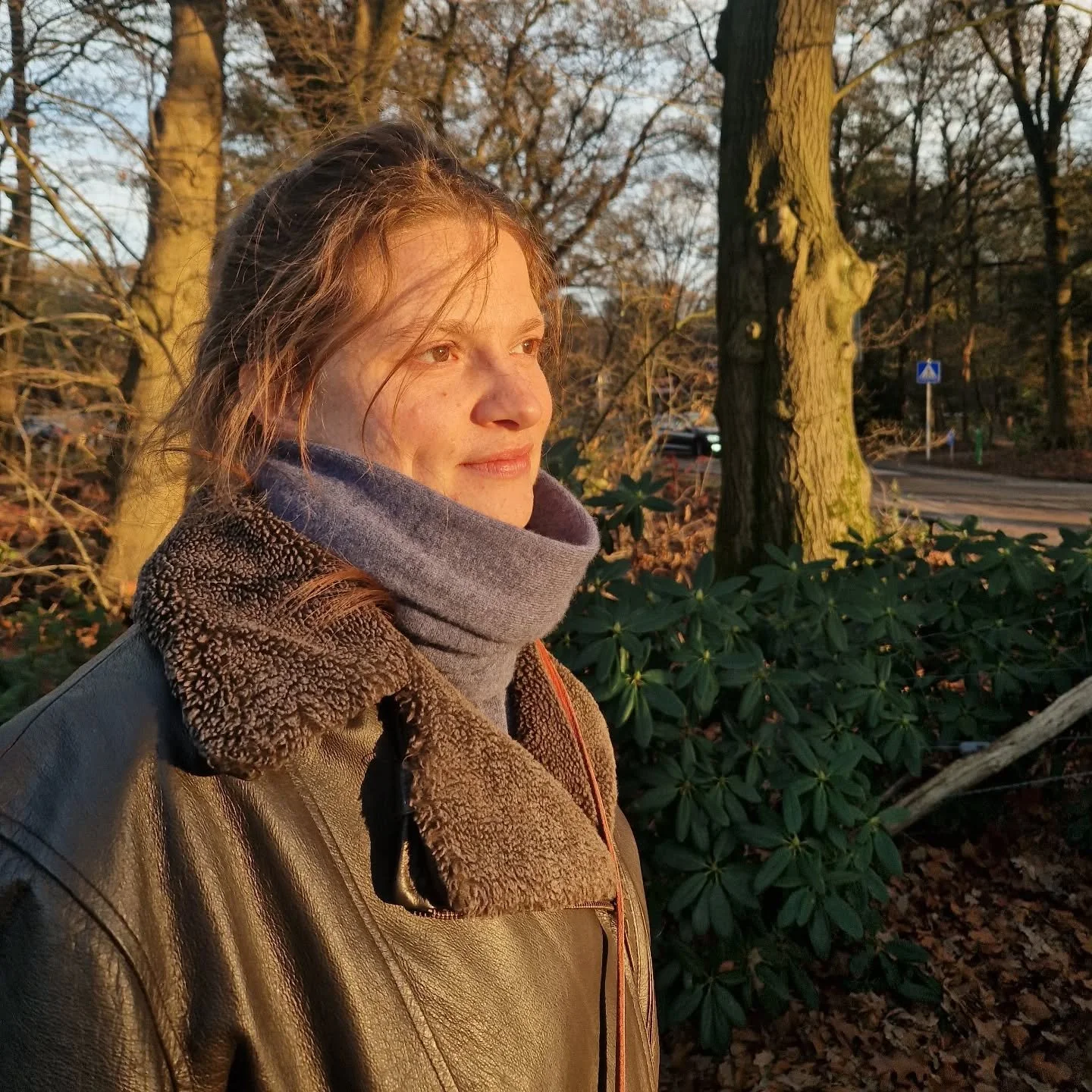 November, trusting my instincts. I've written so much this year. I've endured, enjoyed the mist.