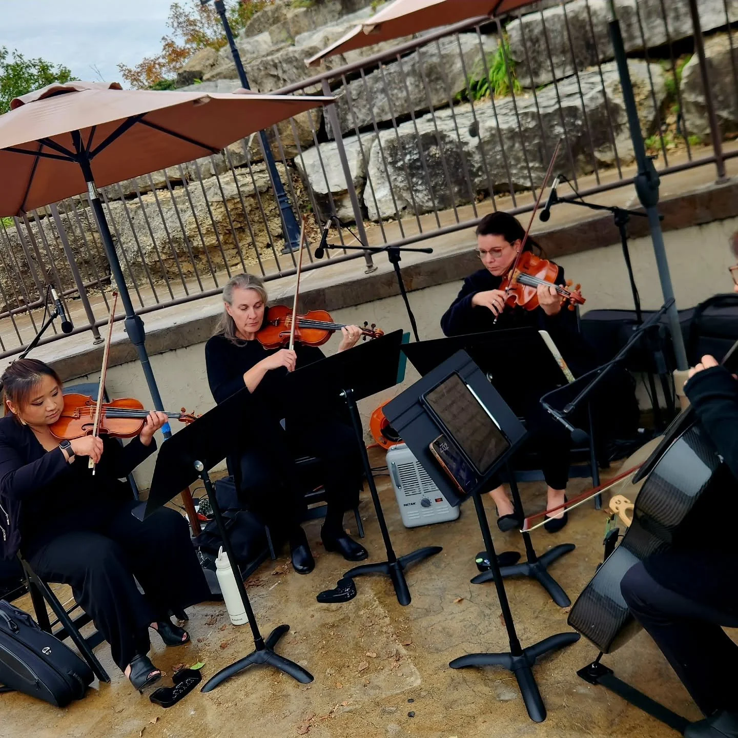 Back at it again! Wedding time! @docmusicgirl