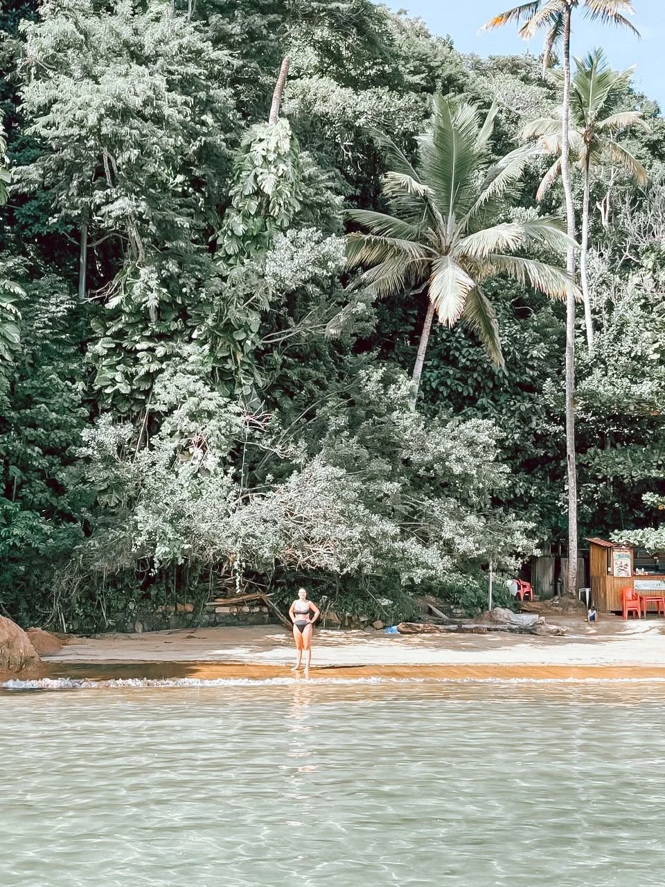 Health Coach Fabiana Moulin