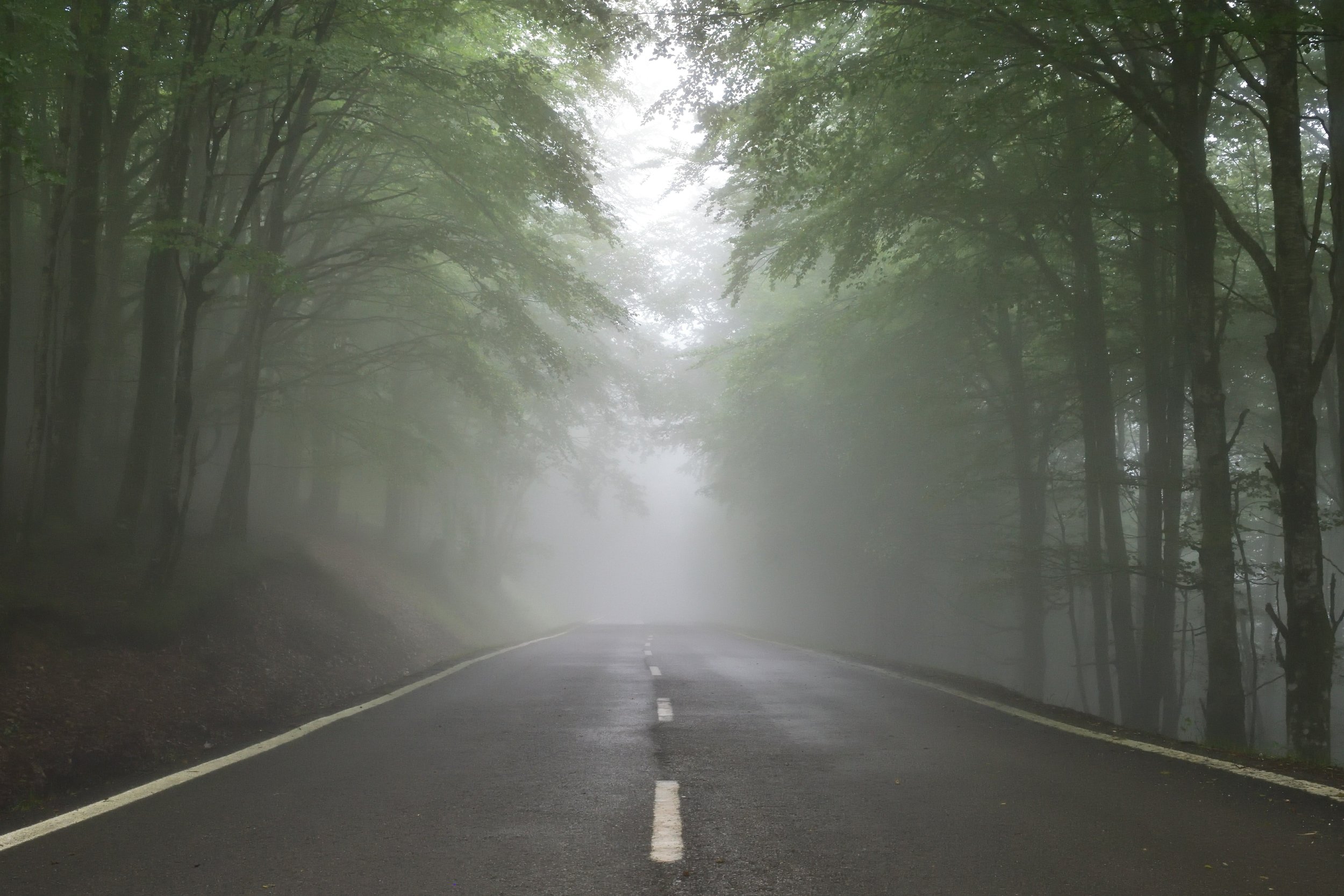 Fear and Uncertainty