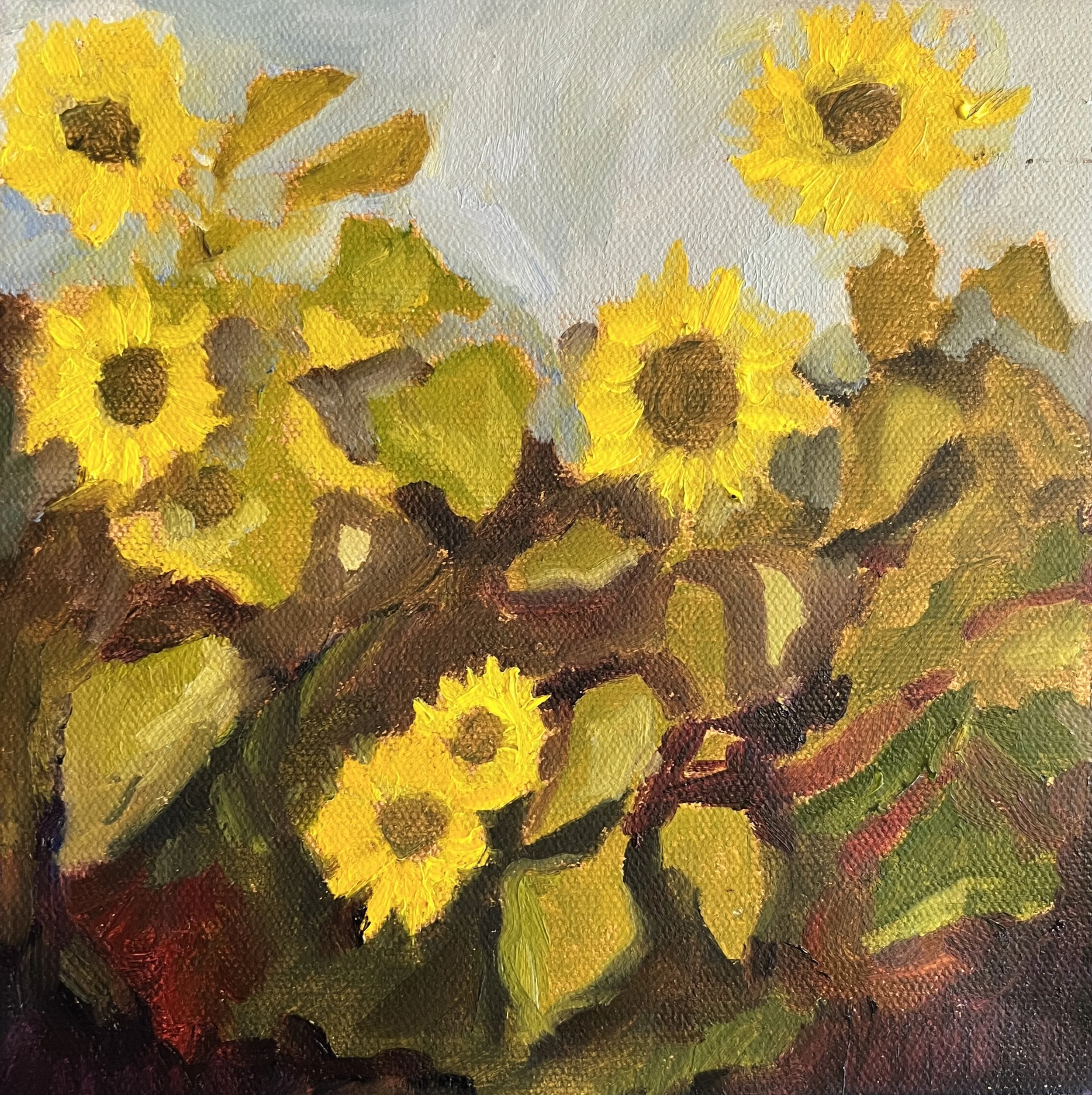 "Sunflower Glow" 8" x 8" Oil. #SOLD #ThankYOU!