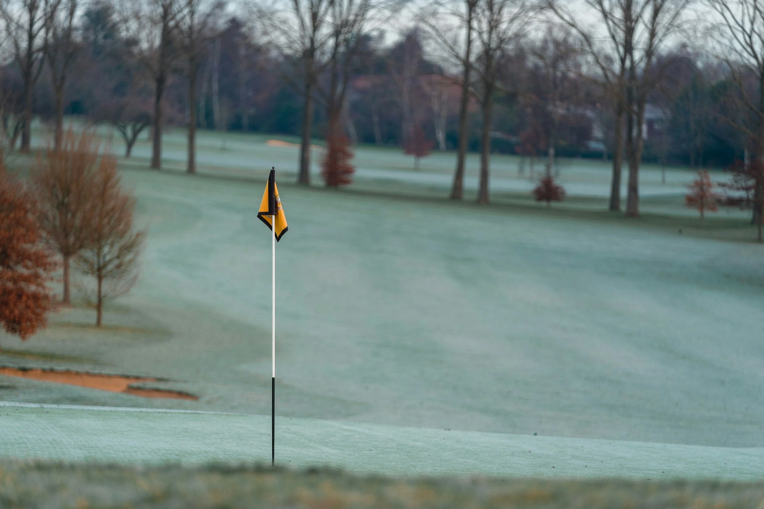 DGH | Winter Golf