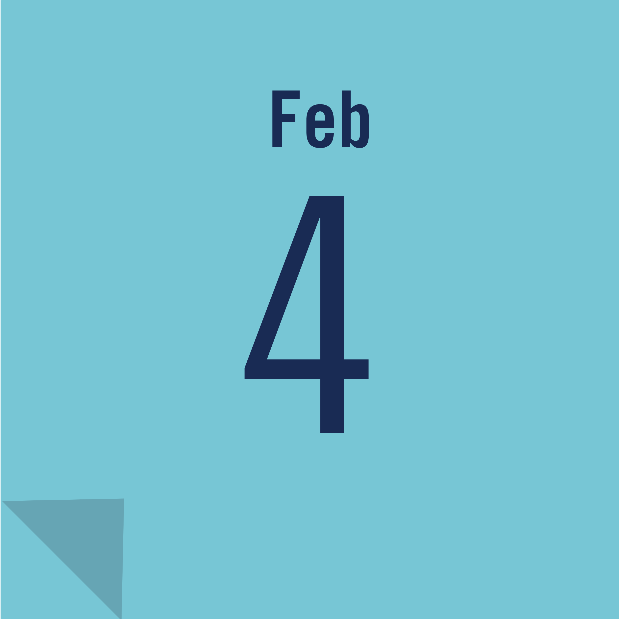 KINmunity Sock Snow Pals