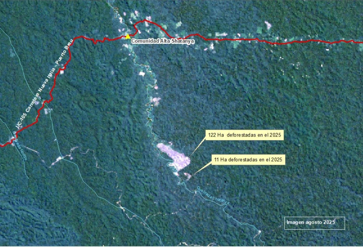 Nueva Italia - Puerto Breu Roadway: Illegal mining, clandestine airstrips, and illicit crops in the UC-105 sector