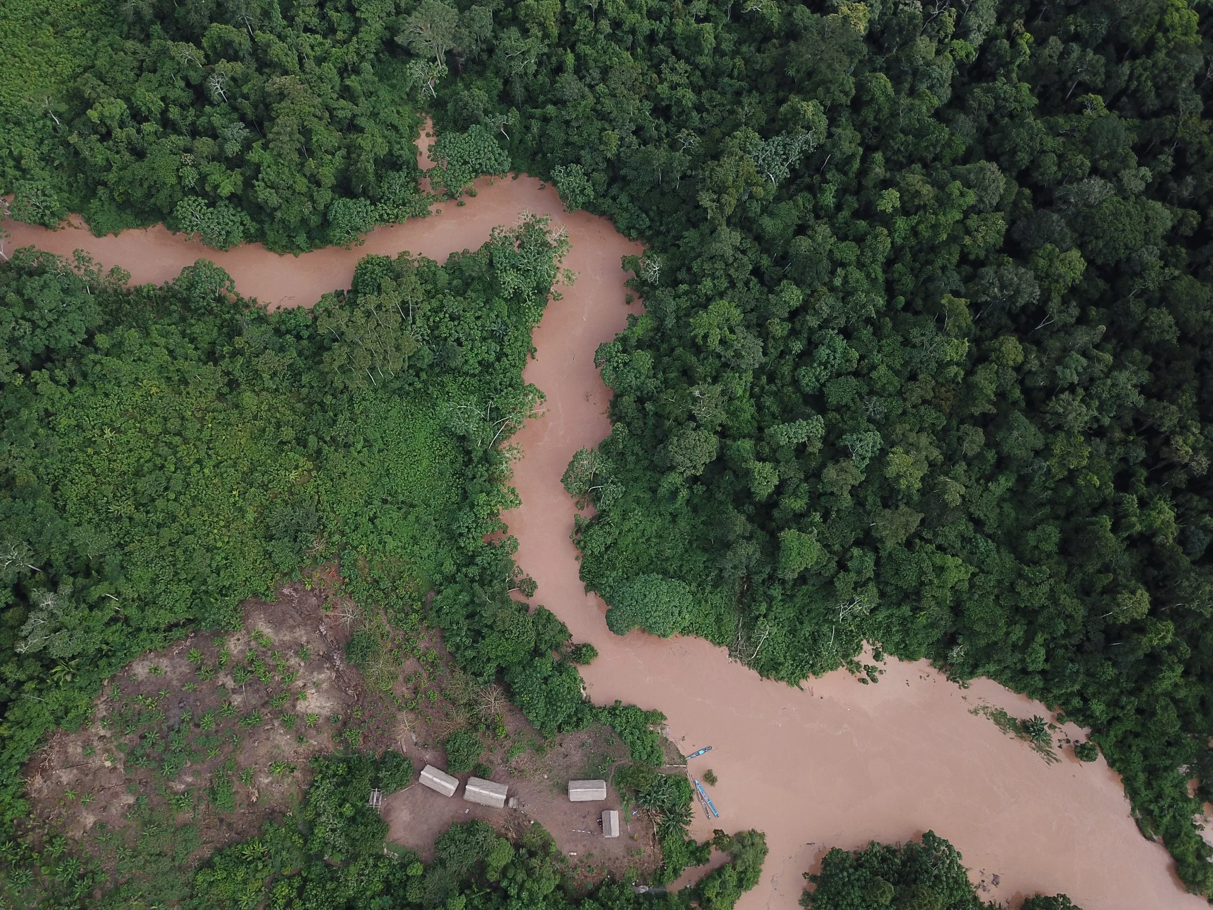 More than 598,000 hectares of Amazon rainforest are protected through Indigenous territorial monitoring along the Peru–Brazil border