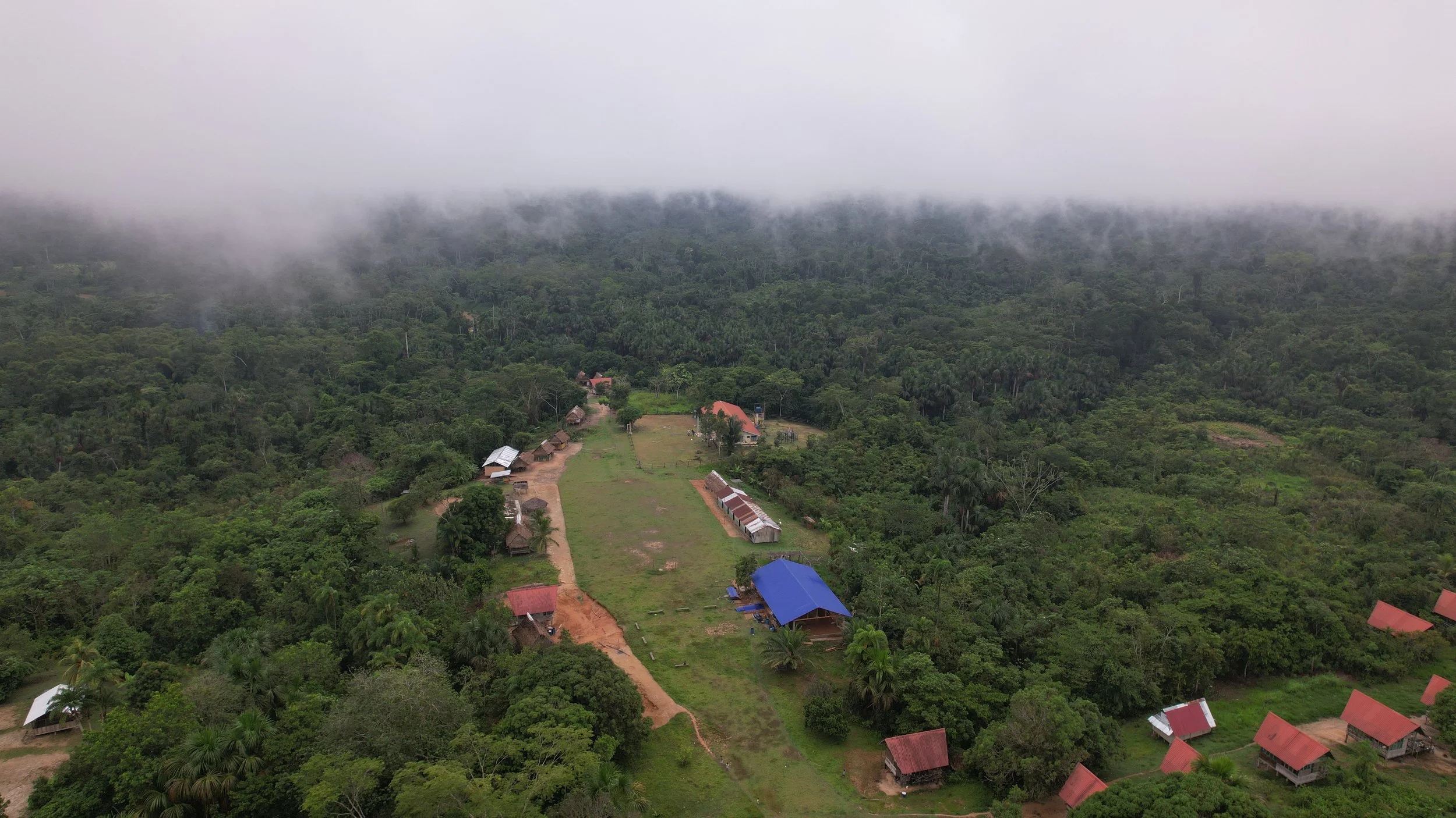 In Saweto, the Challenge Is Not Only Protecting the Forest, but Sustaining Life in the Territory