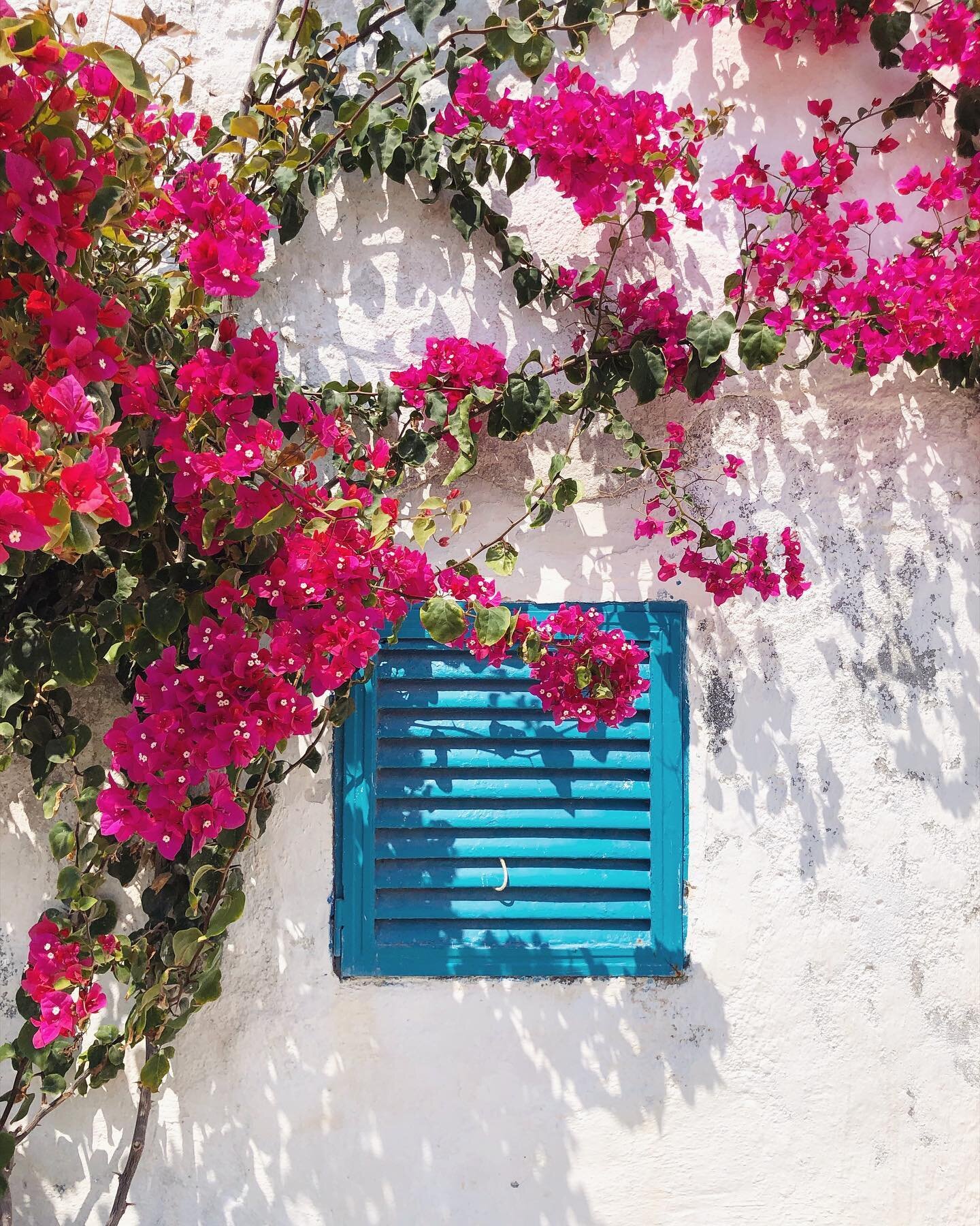 Is it too early to start thinking about summer? 😬 It&rsquo;s been a long and dreary week in London so I really can&rsquo;t help myself 💭🧿🌺 #januaryblues #endofweekdreaming