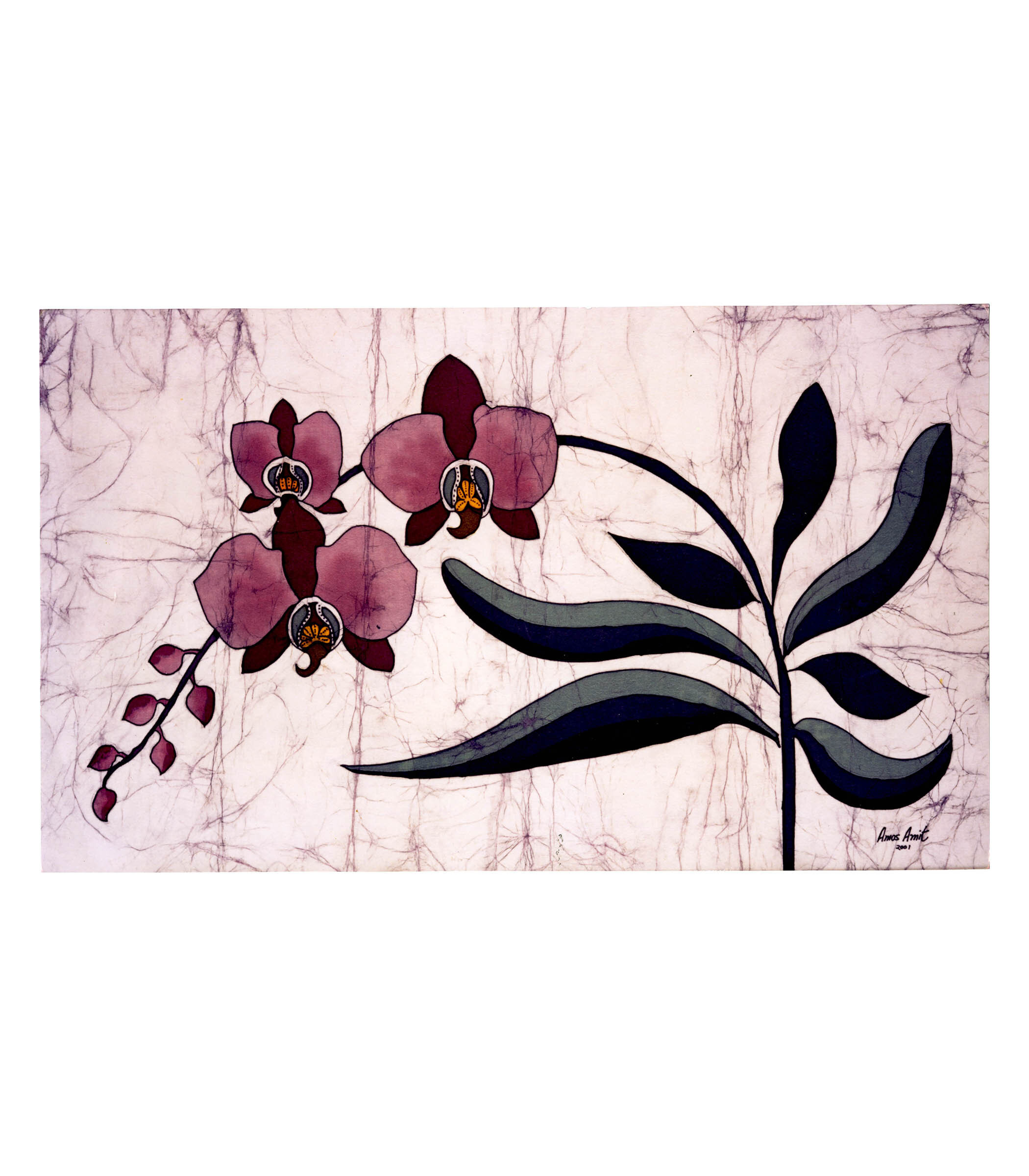 Scenery107-Product-Orchids.jpg