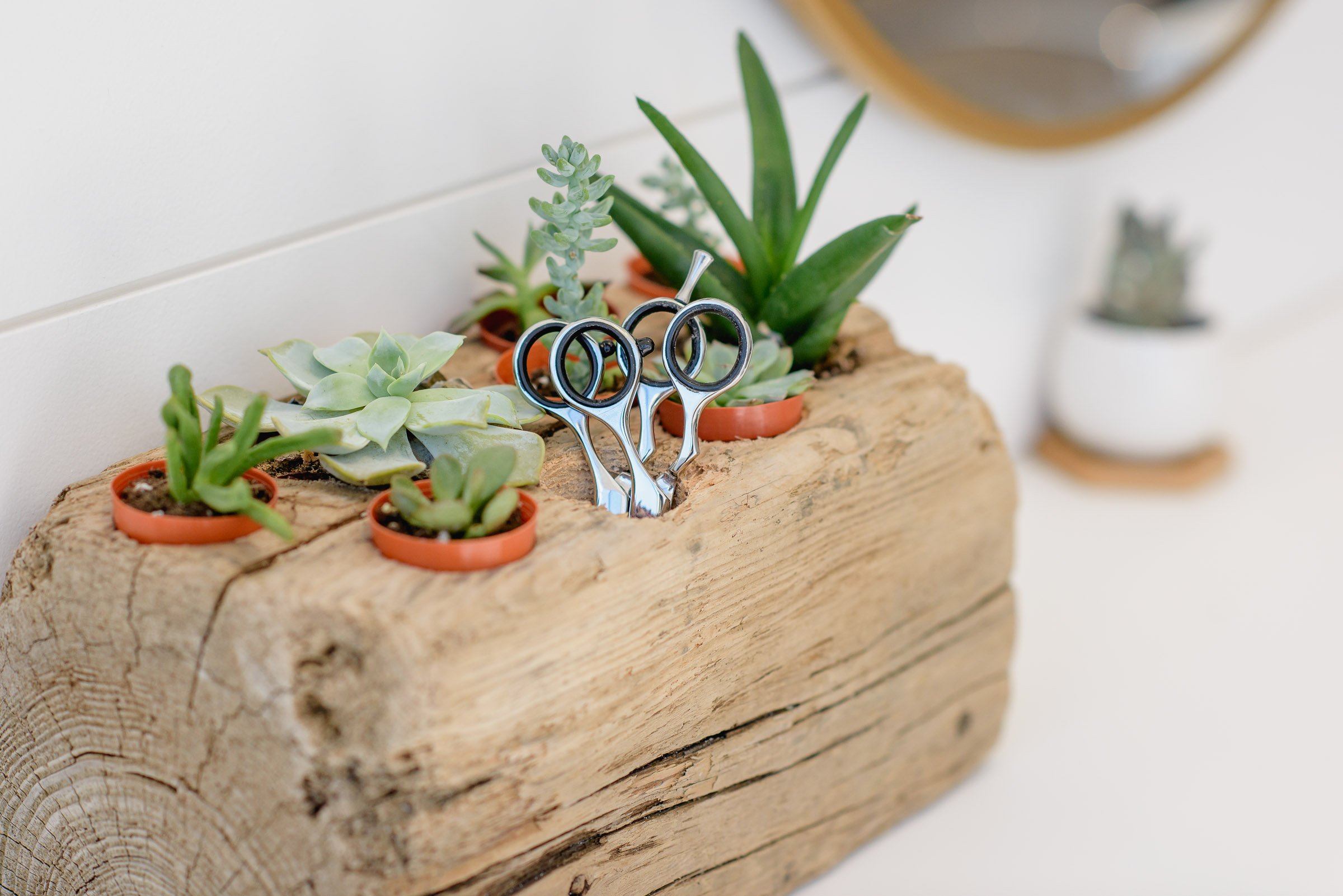 Image of scissors in a driftwood scissor block at Haus of Pretty salon in Westport, CT