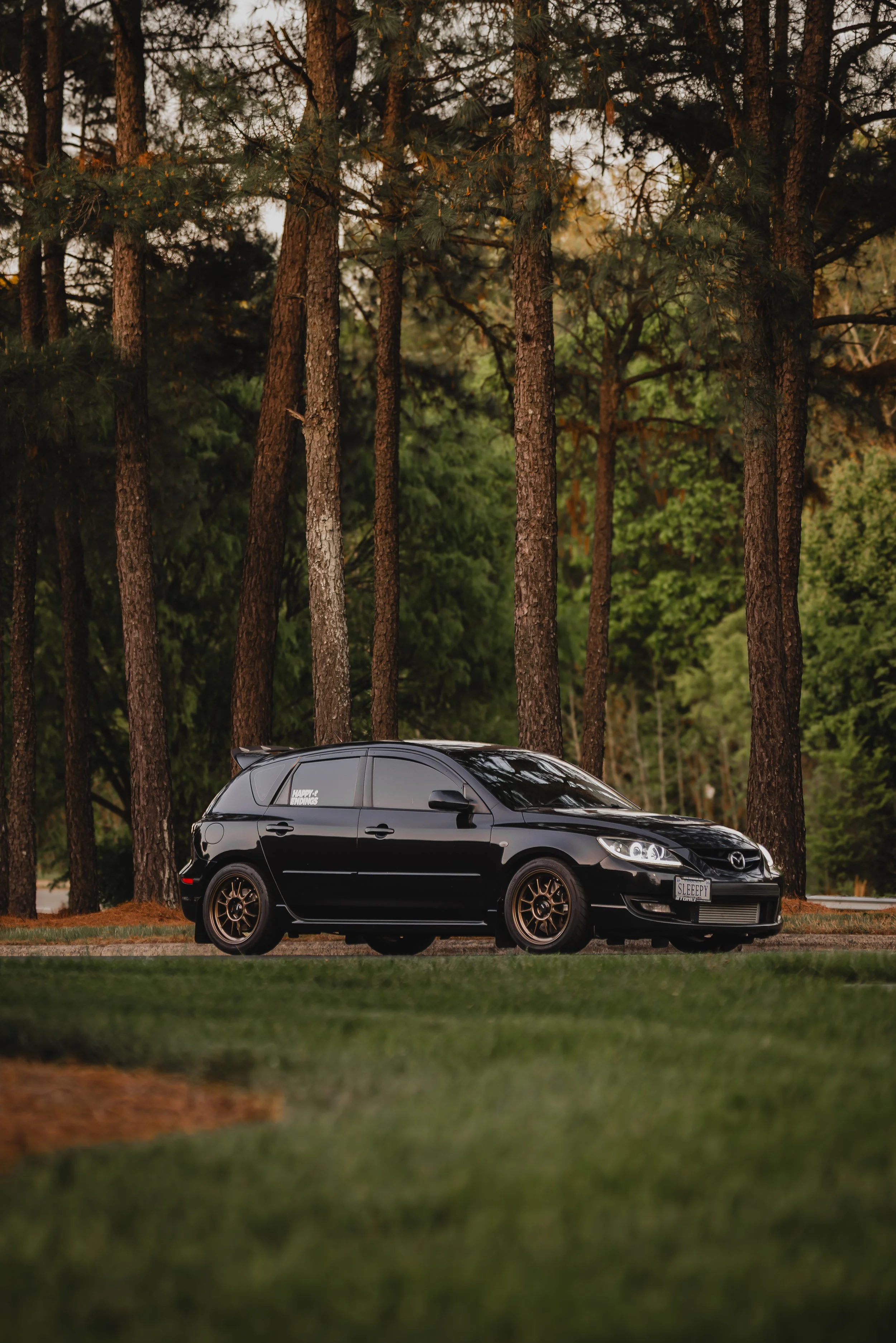 Woods.jpg