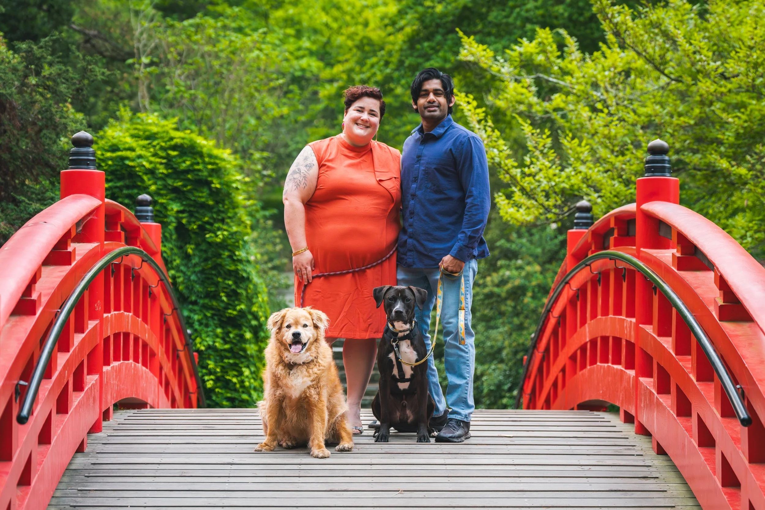 A smiling woman and a man standing on a red arched bridge with lush green trees in the background, each holding a leash attached to a dog, with two dogs in front of them.