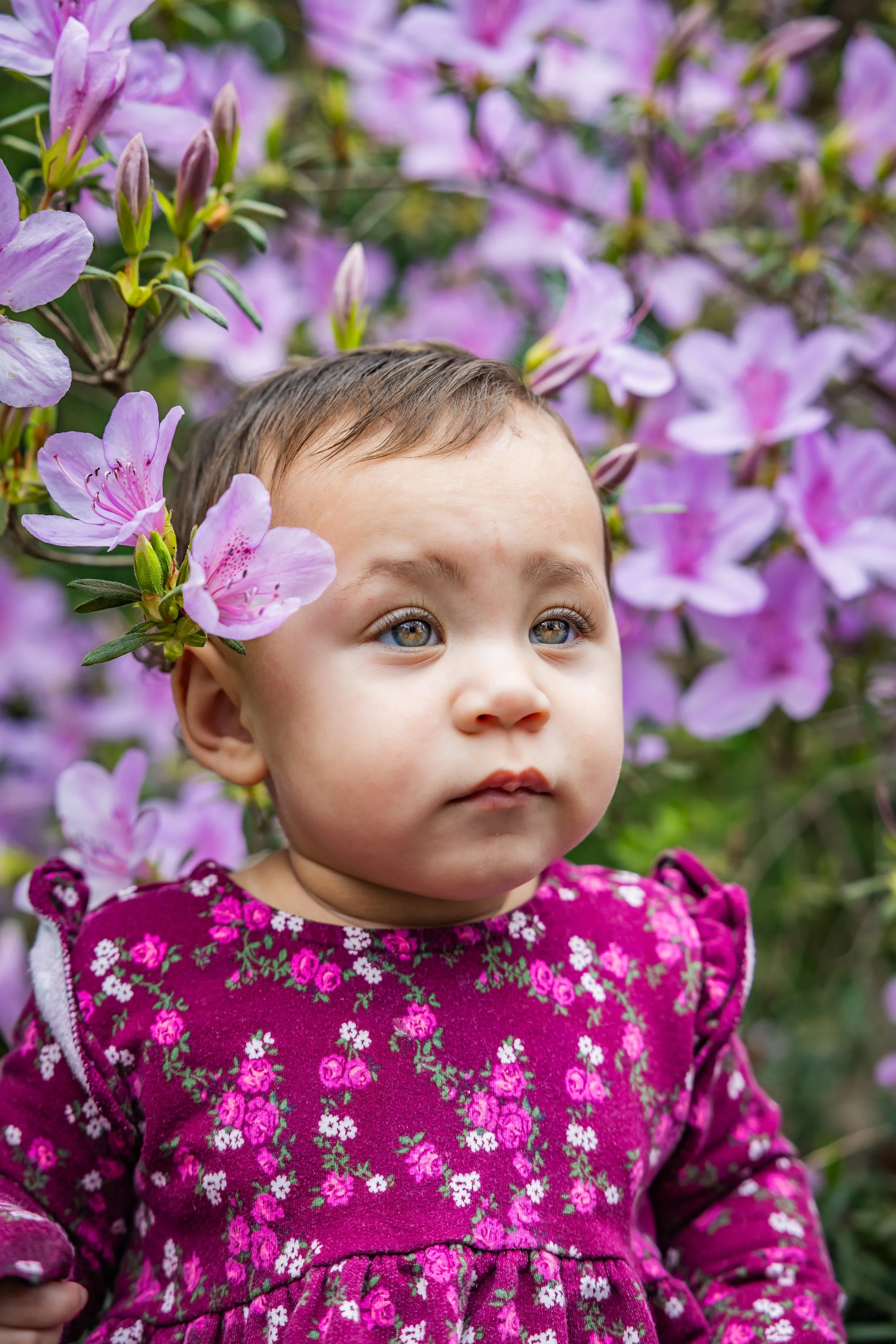 Close-up of a young girl with blue eyes and light brown hair, standing in front of pink and purple flowers.