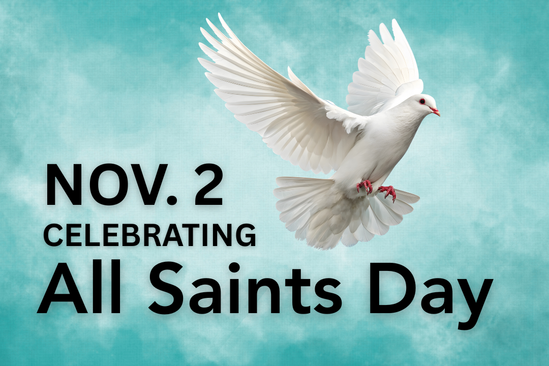 Web Carousel pics.png