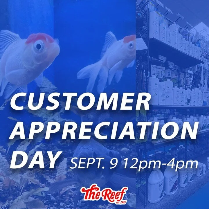 The Reef Aquarium Shop