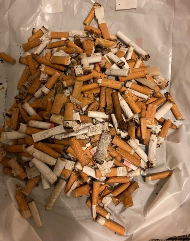   Cigarette butts collected  