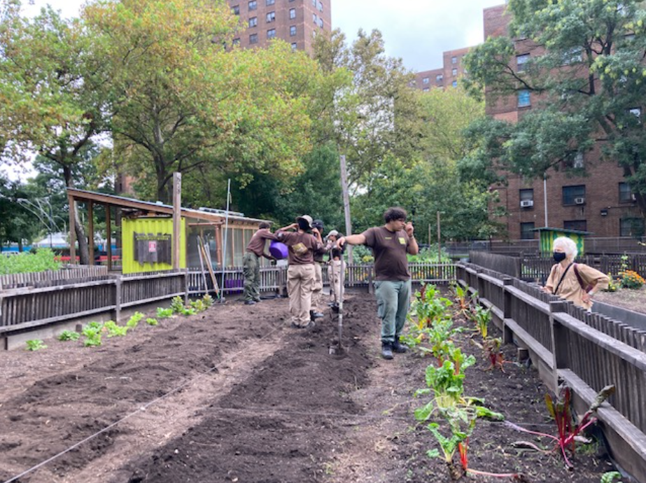   Green City Force members tend to fresh produce in the urban garden at Wagner House  